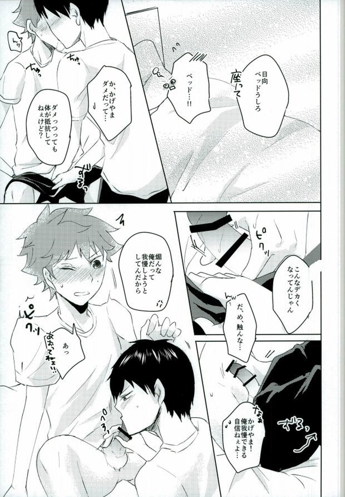 情欲のボーダーライン【ハイキュー!!/影日】 page 14