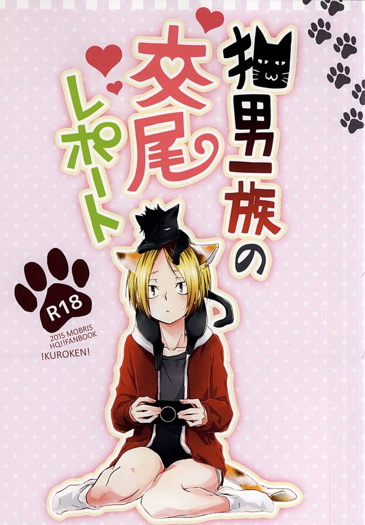 猫男一族の交尾レポート【ハイキュー!!/黒弧】