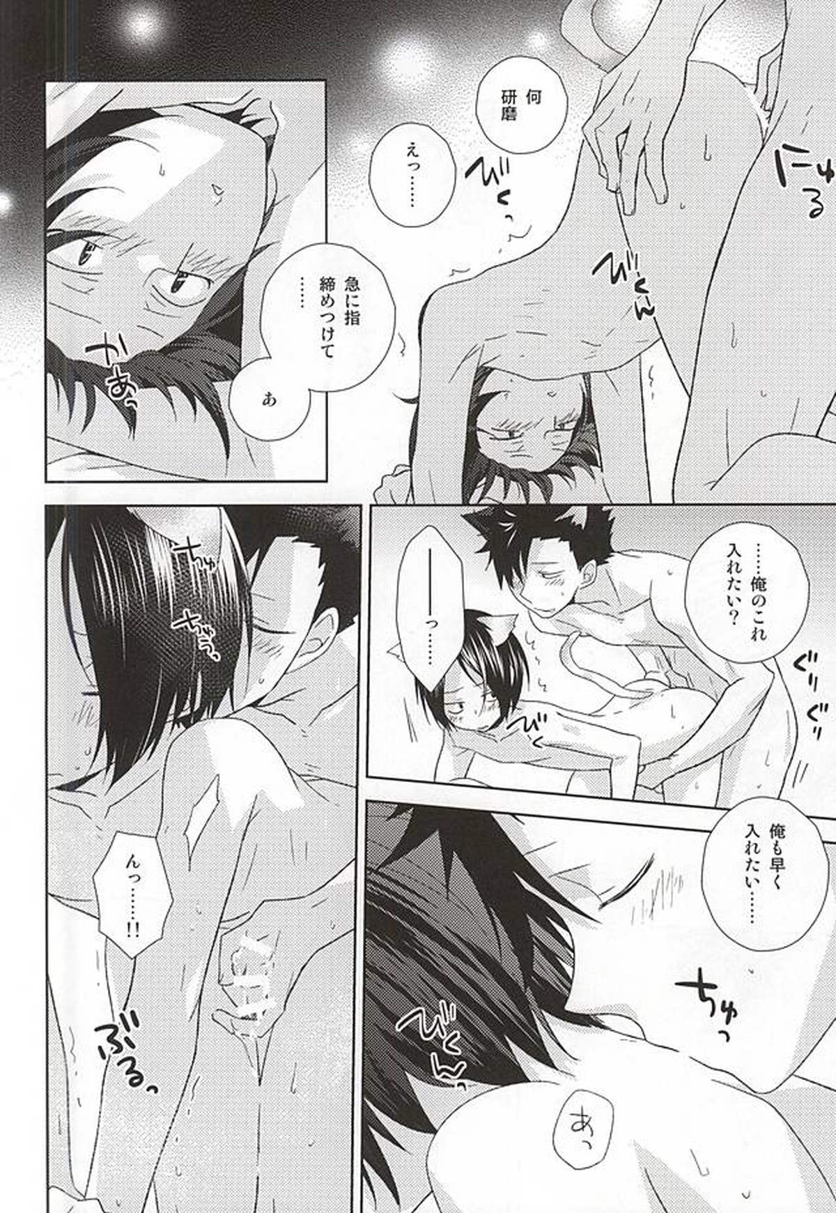 猫男一族の交尾レポート【ハイキュー!!/黒弧】 page 13