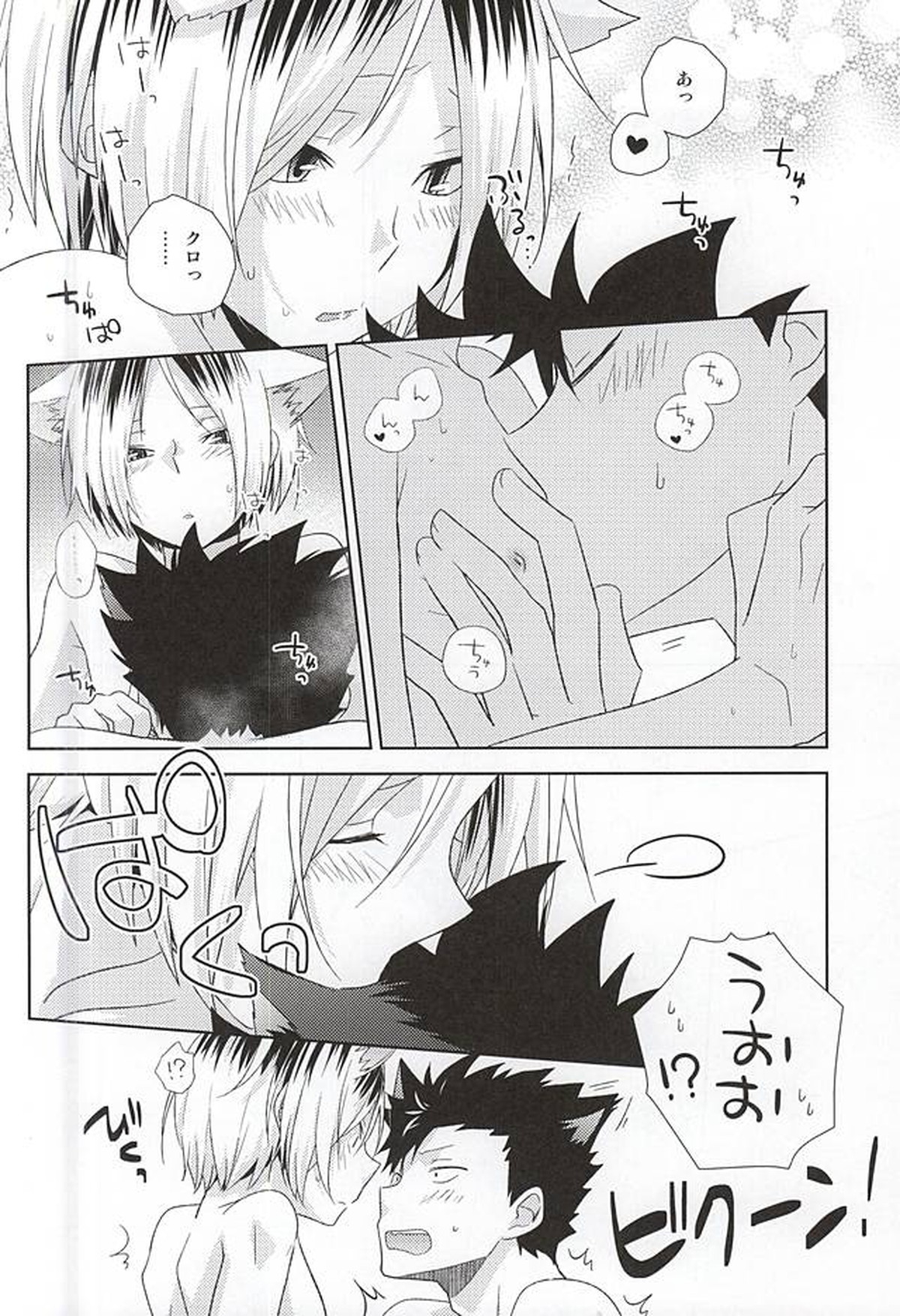 月イチ大感謝毛繕いデー【ハイキュー!!/黒弧】 page 15