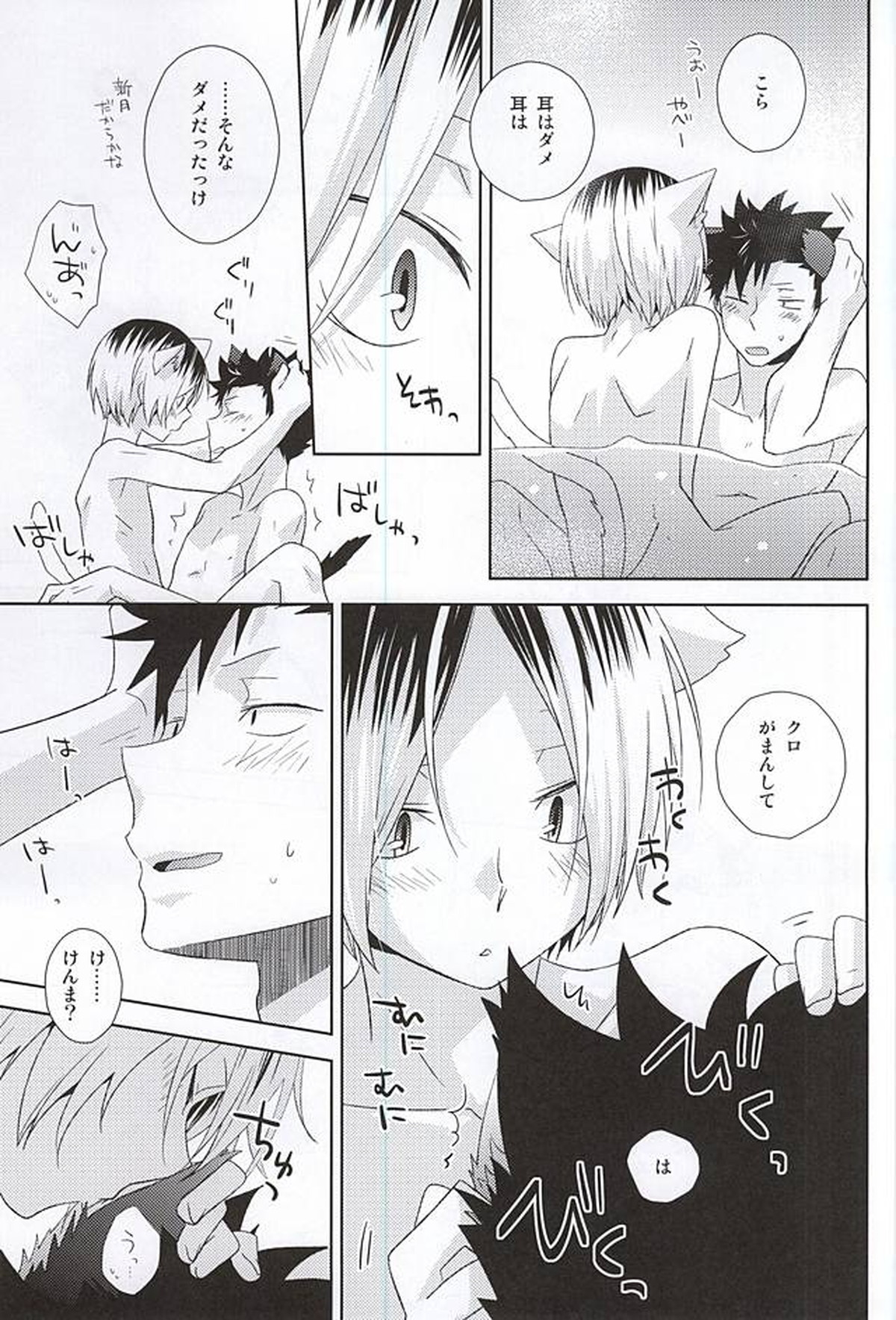 月イチ大感謝毛繕いデー【ハイキュー!!/黒弧】 page 16