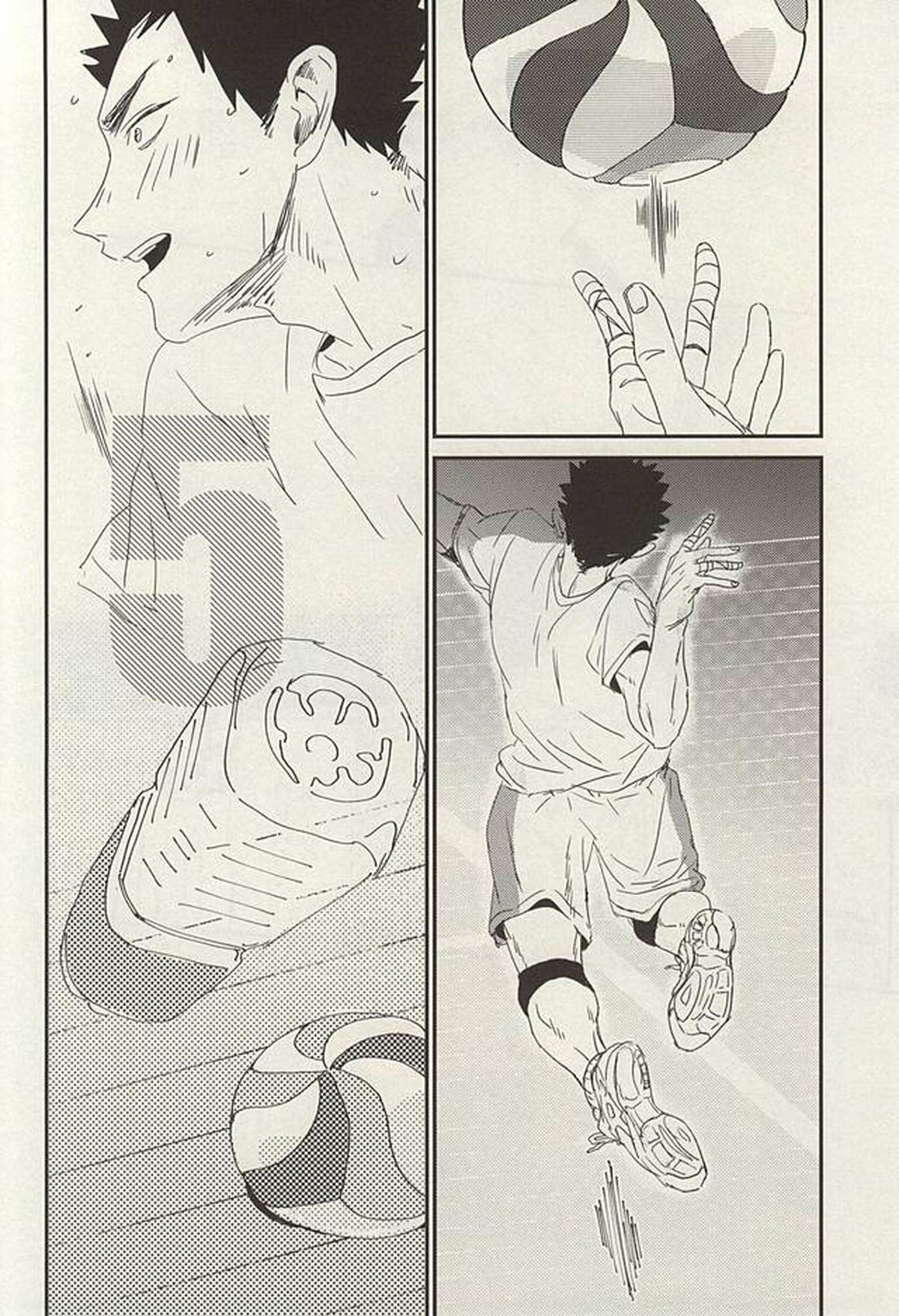 野生、千里を駆ける【ハイキュー!!/及岩】 page 25