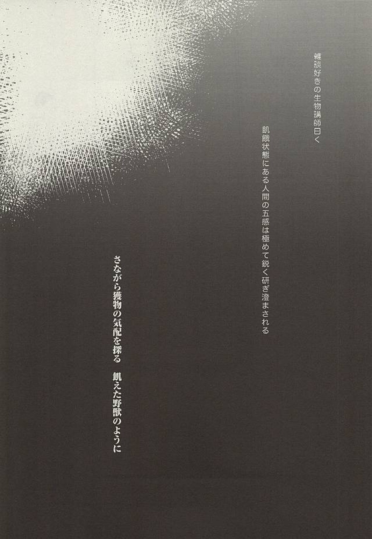 野生、千里を駆ける【ハイキュー!!/及岩】 page 30