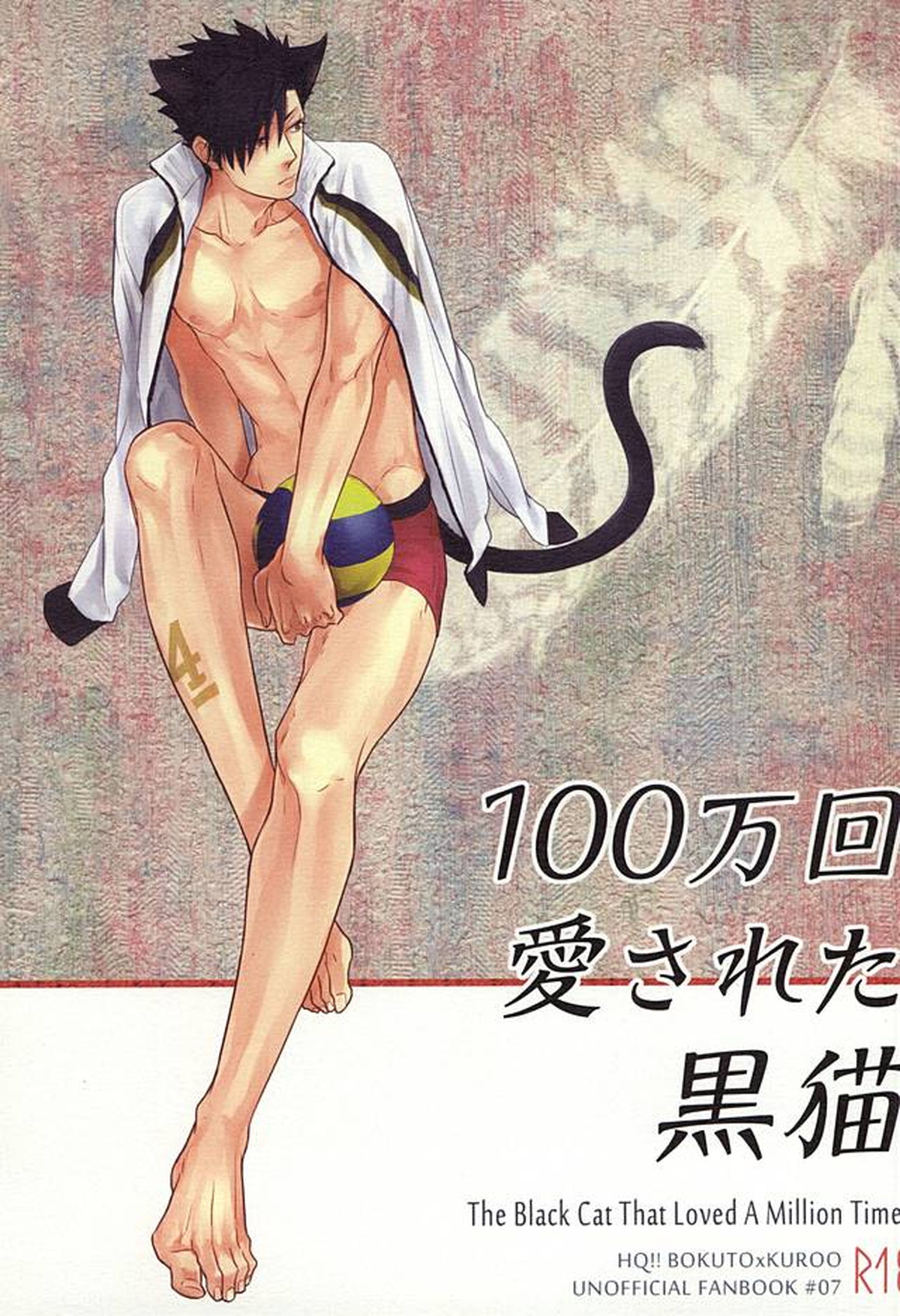 100万回愛された黒猫【ハイキュー!!/兎クロ】
