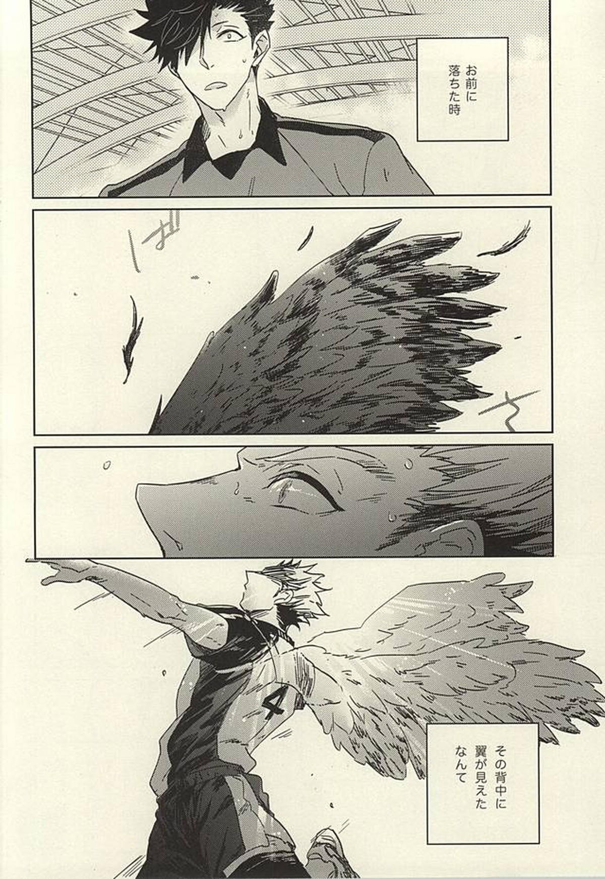 100万回愛された黒猫【ハイキュー!!/兎クロ】 page 17