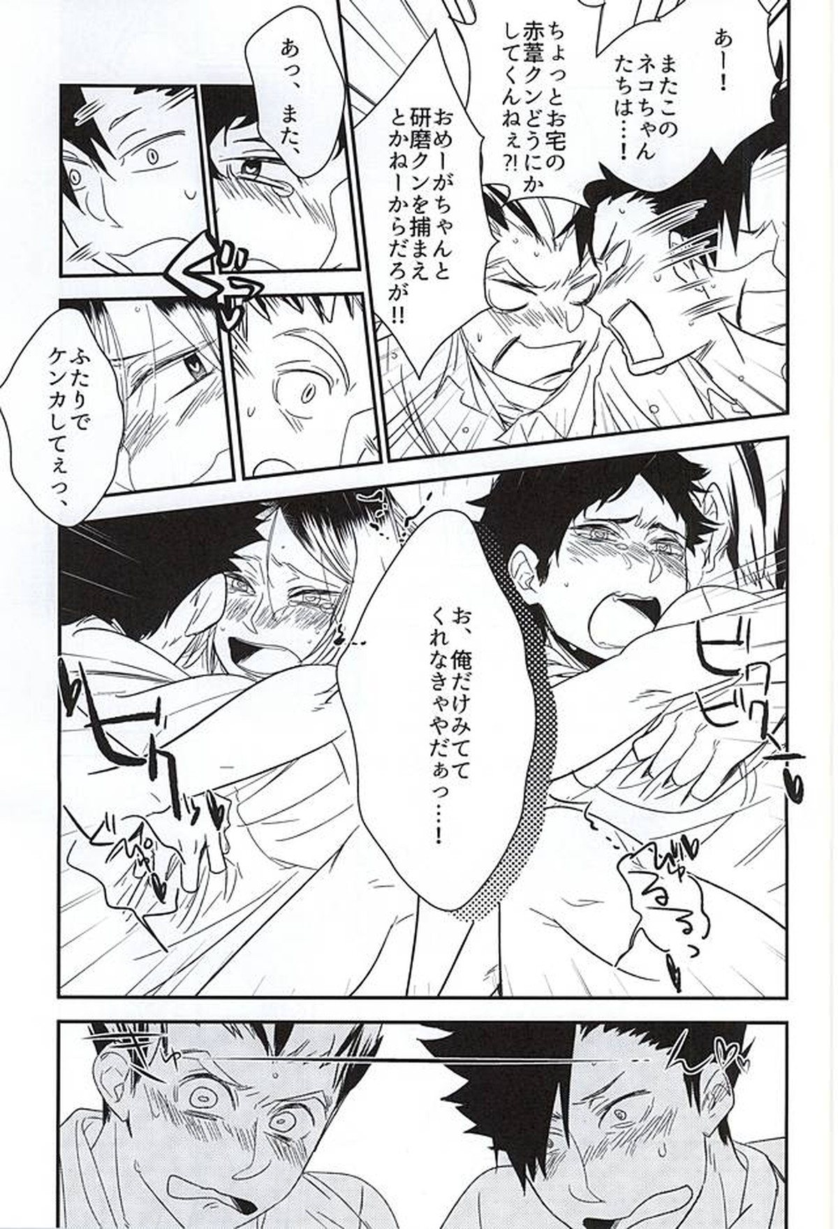 猫と梟が4Pしたけど何か質問ある【ハイキュー!!/兎赤】 page 29
