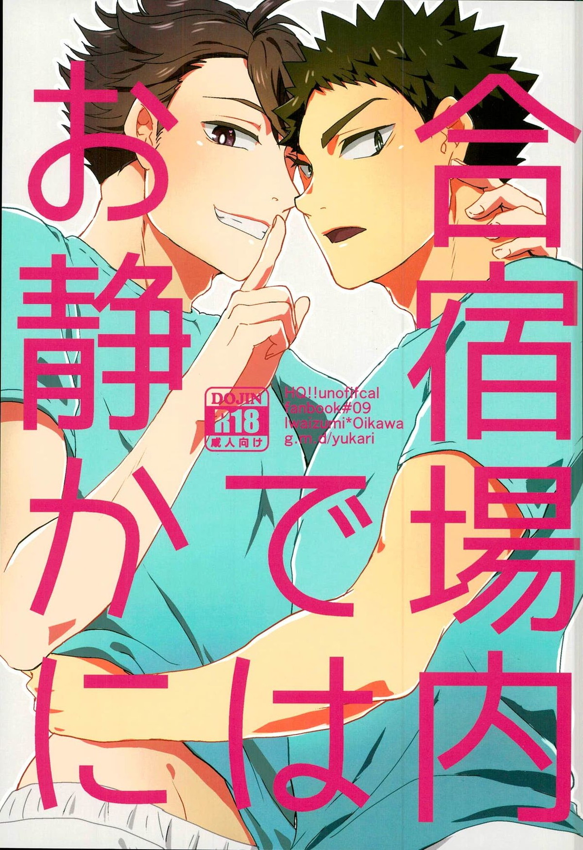 合宿場内ではお静かに【ハイキュー!!/岩及】
