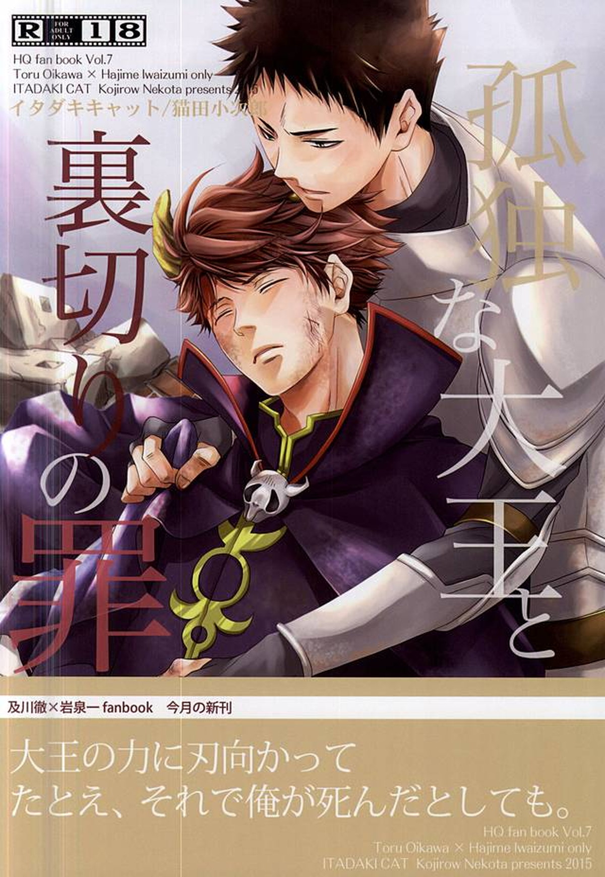 孤独な大王と裏切りの罪【ハイキュー!!/及岩】 page 18