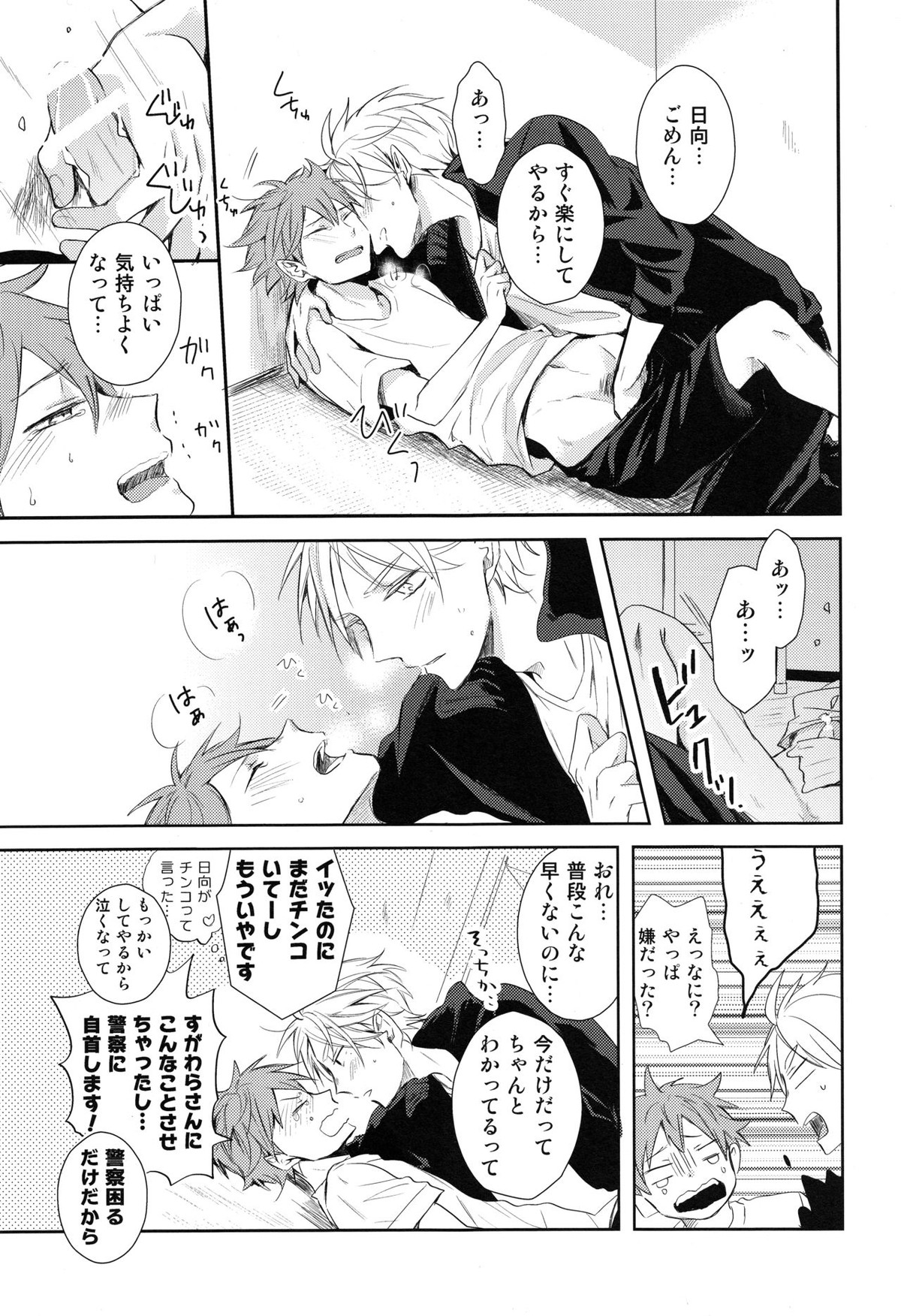 あまい蜜とやさしい獣 前編【ハイキュー!!/菅原×日向】 page 18
