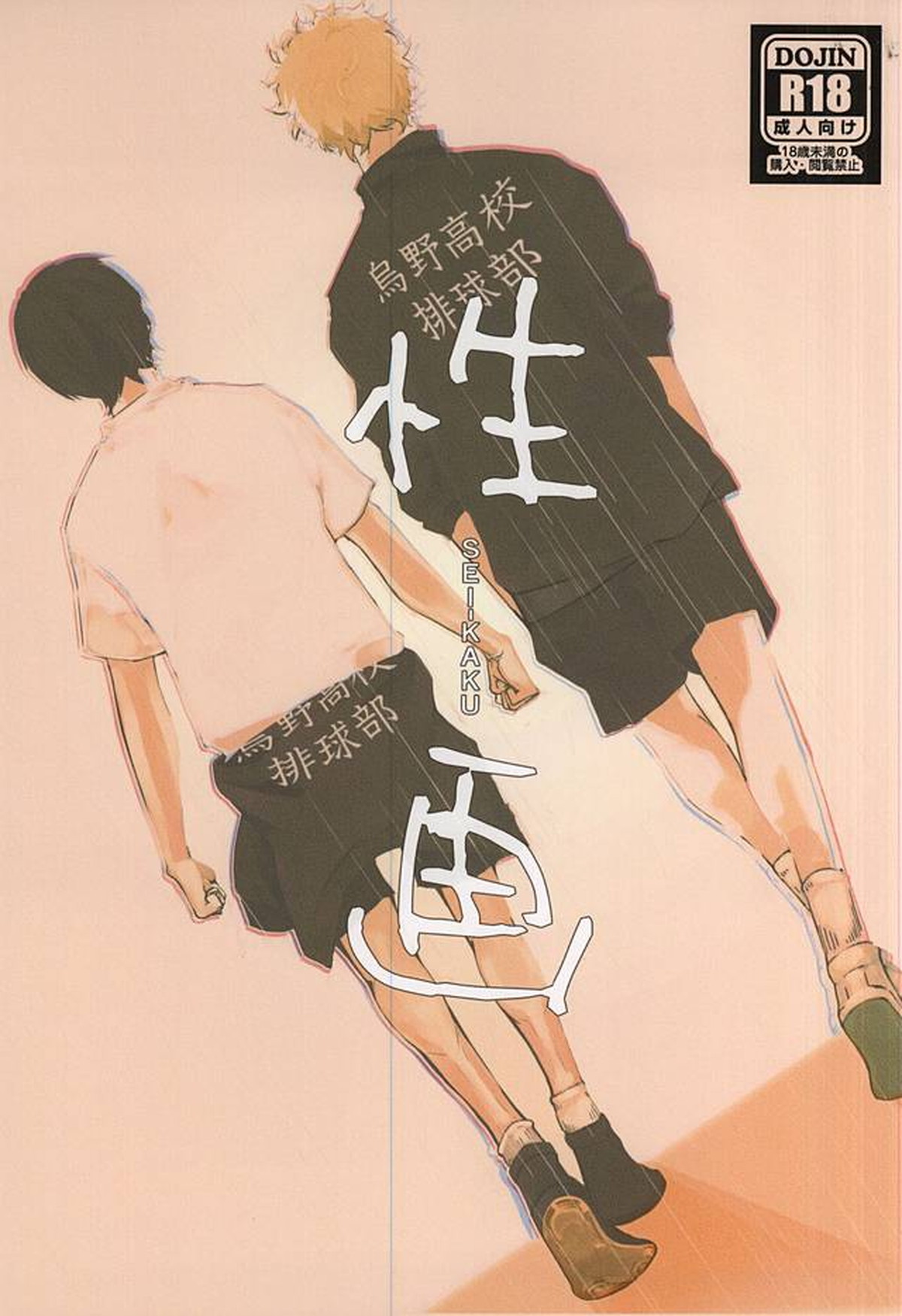 Recommended BL manga "性画【ハイキュー!!/月影】" cover image