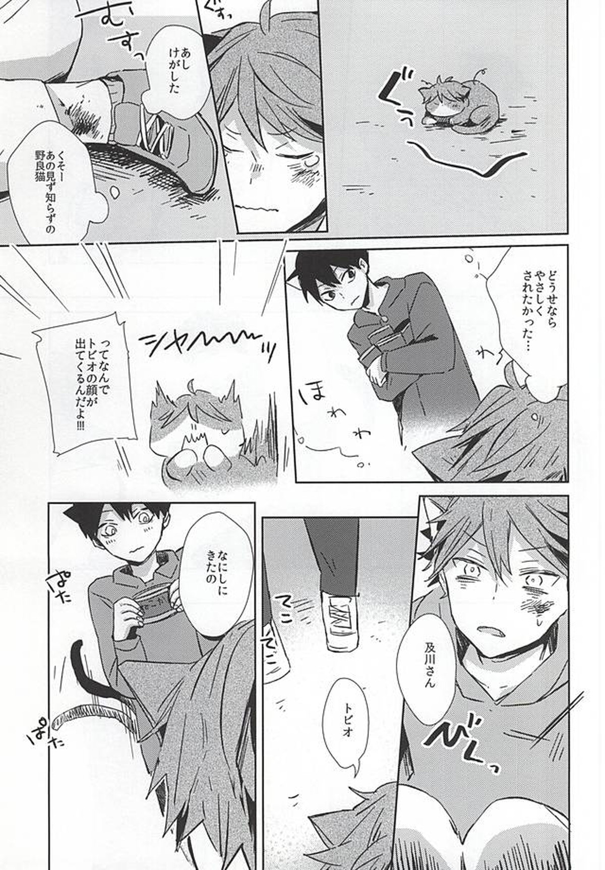猫になった及川さん【ハイキュー!!/影及】 page 12
