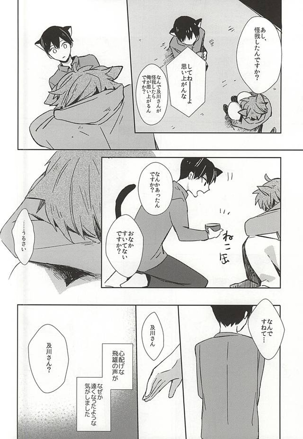 猫になった及川さん【ハイキュー!!/影及】 page 13