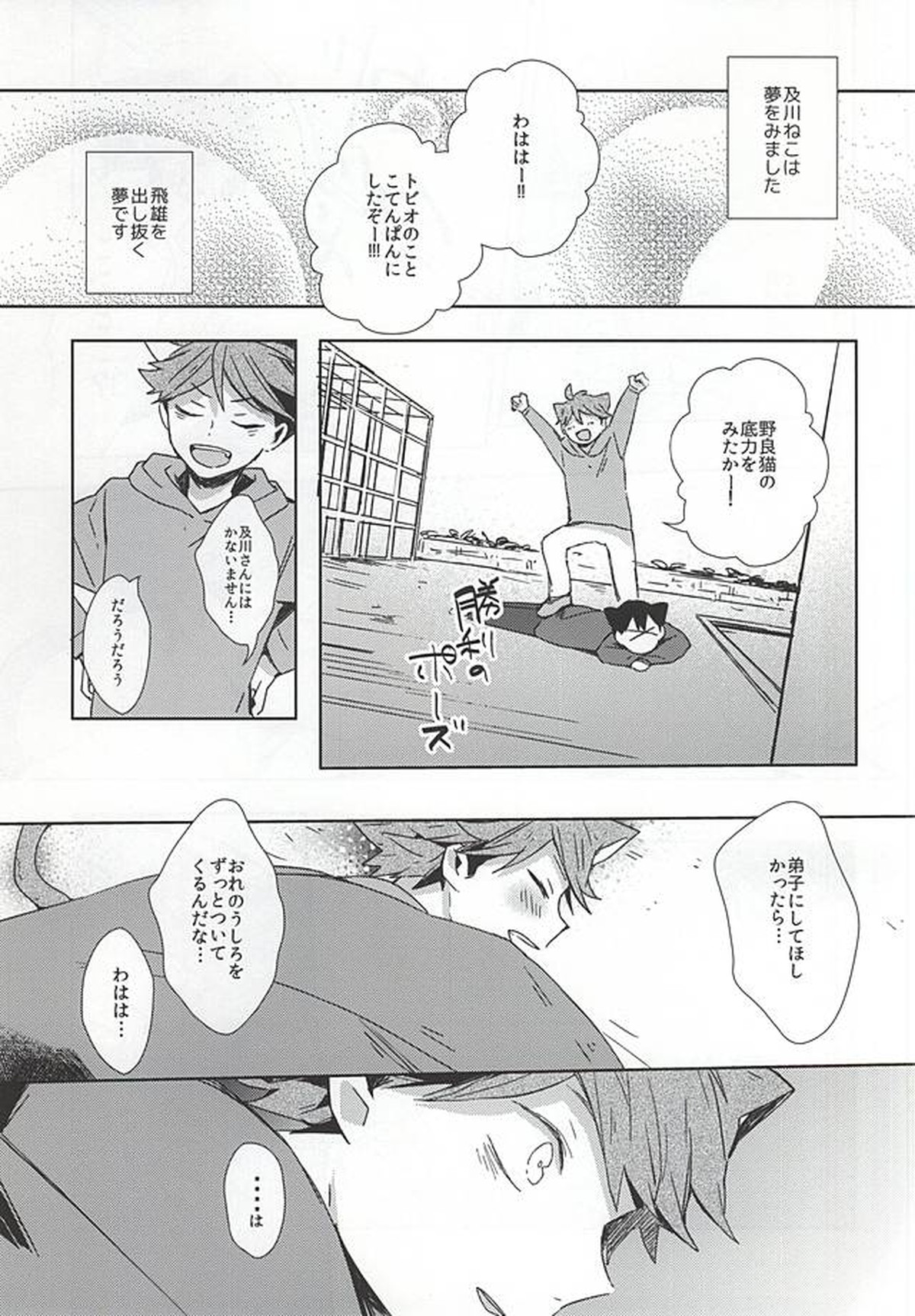 猫になった及川さん【ハイキュー!!/影及】 page 14
