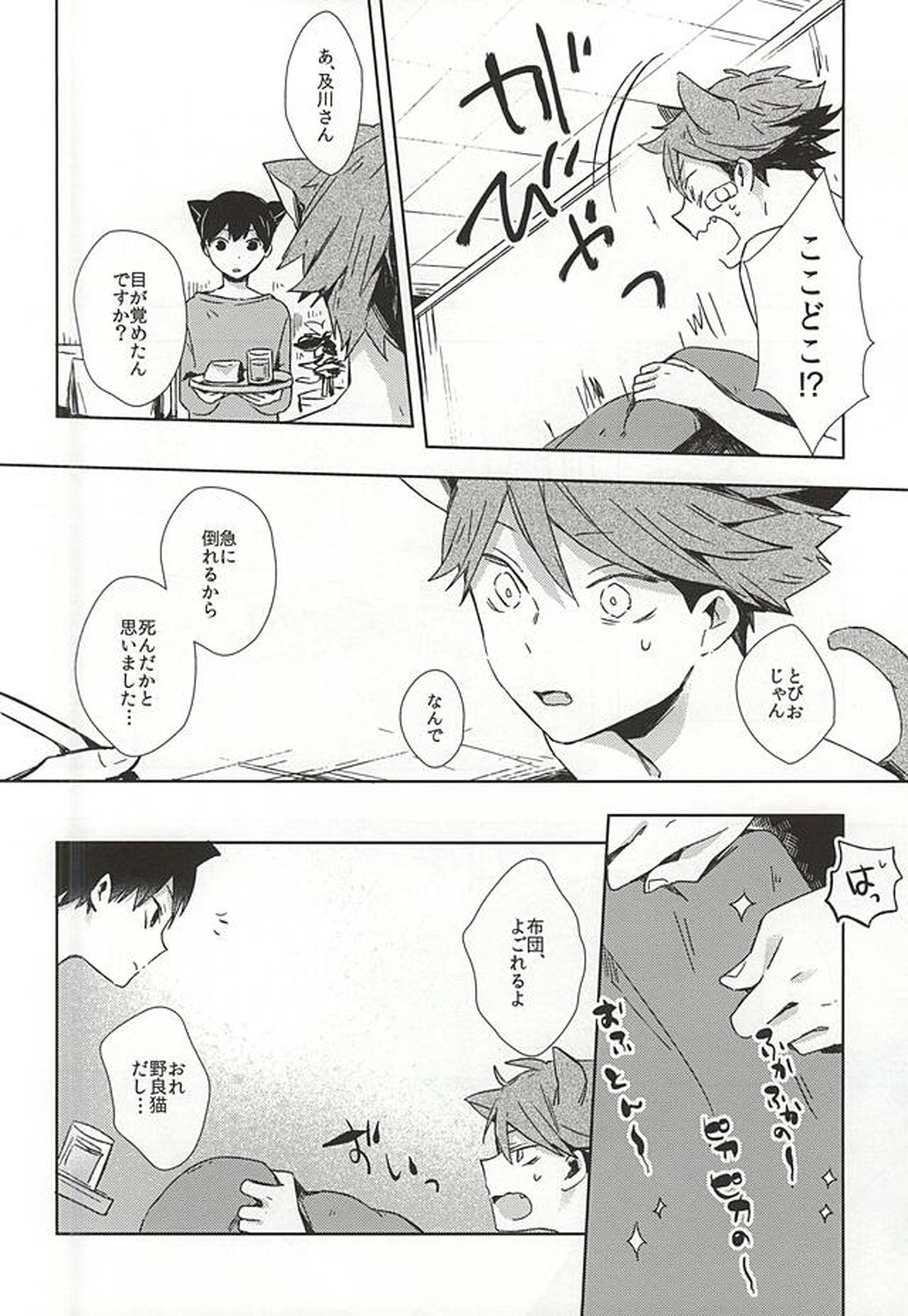 猫になった及川さん【ハイキュー!!/影及】 page 15