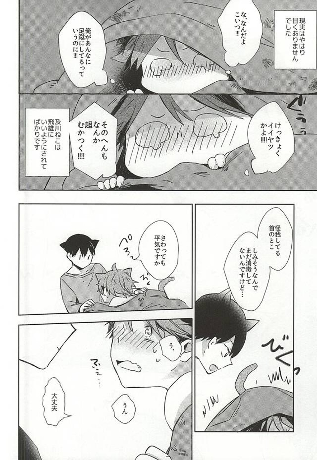 猫になった及川さん【ハイキュー!!/影及】 page 17