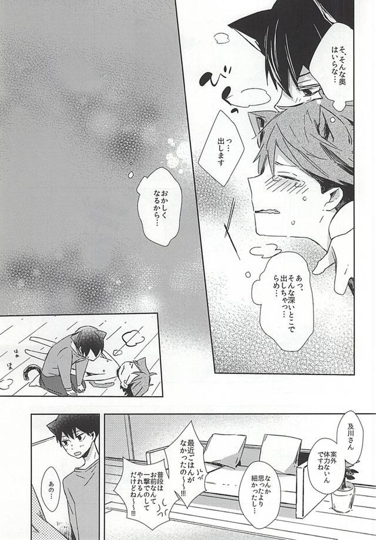 猫になった及川さん【ハイキュー!!/影及】 page 27