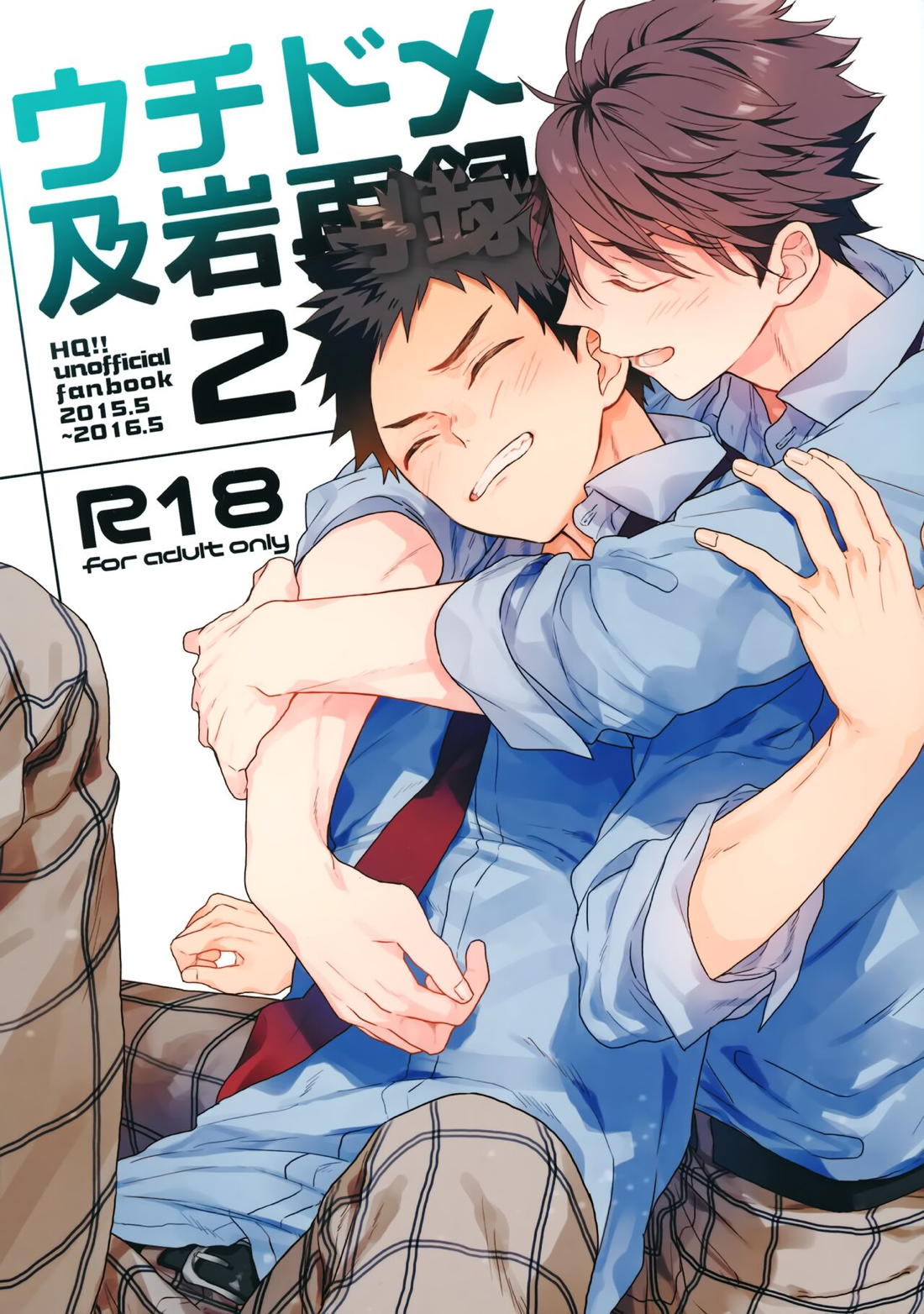 Recommended BL manga "ウチドメ及岩再録２【ハイキュー!!/及岩】" cover image