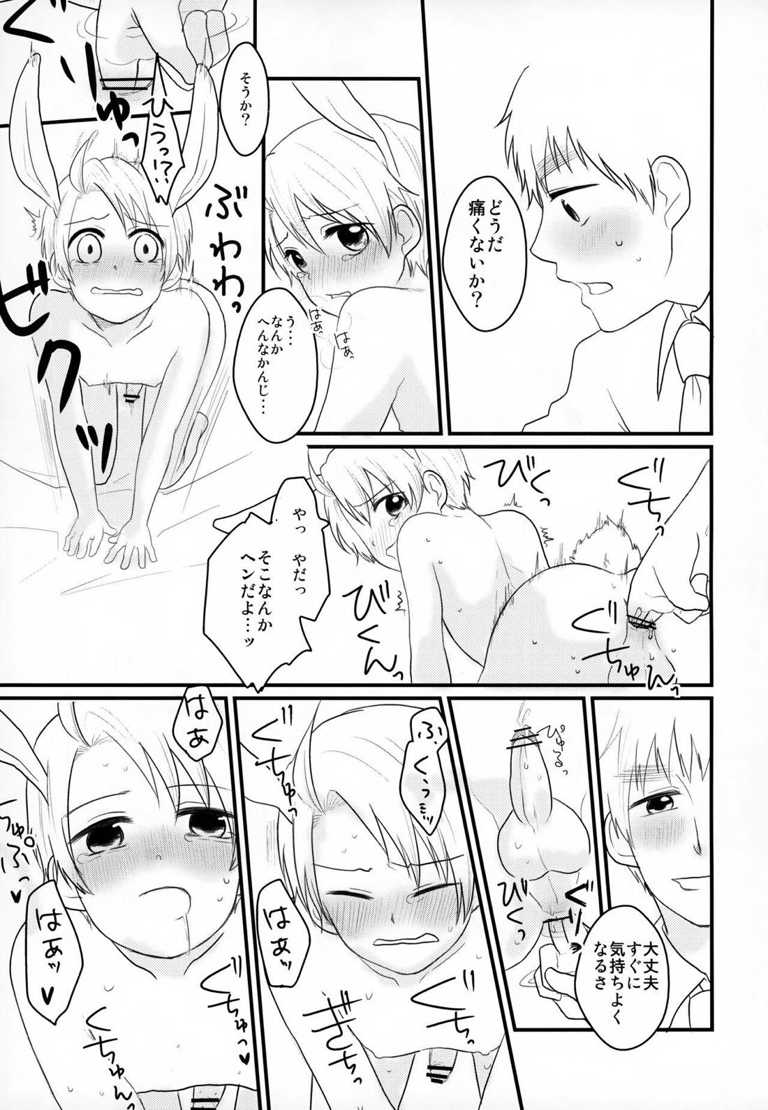 うさメリたんはまだ発情期です.【ヘタリア/のりごはん】 page 12