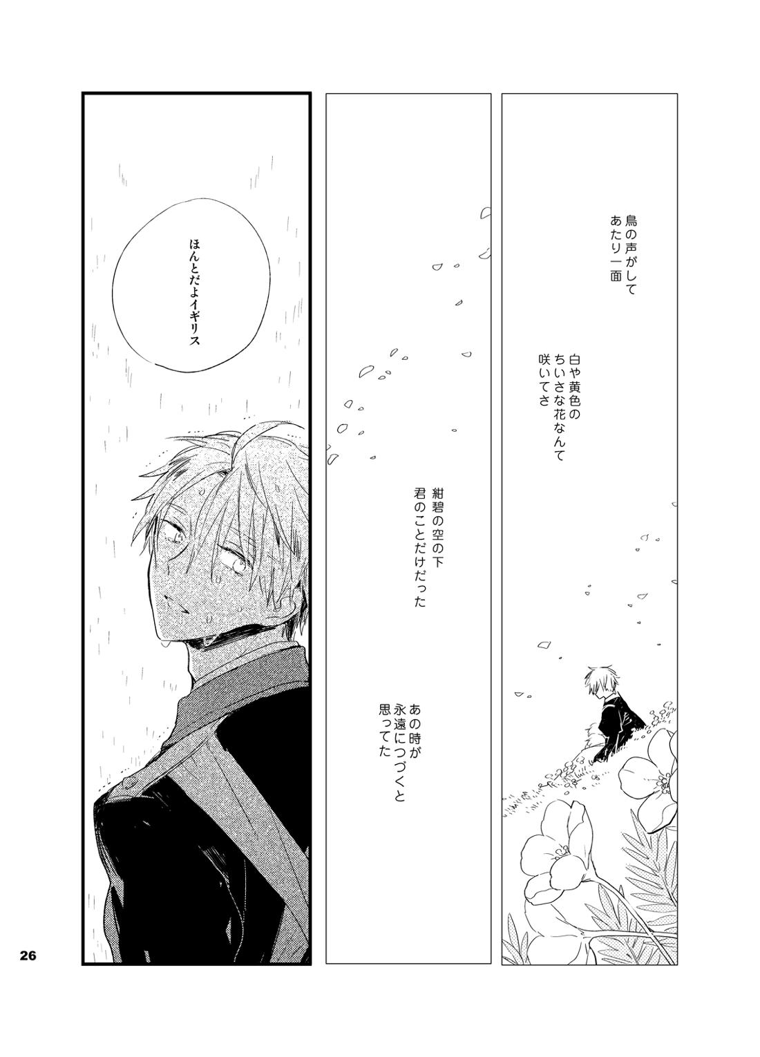 REDLINE【ヘタリア/アルアサ】 page 25