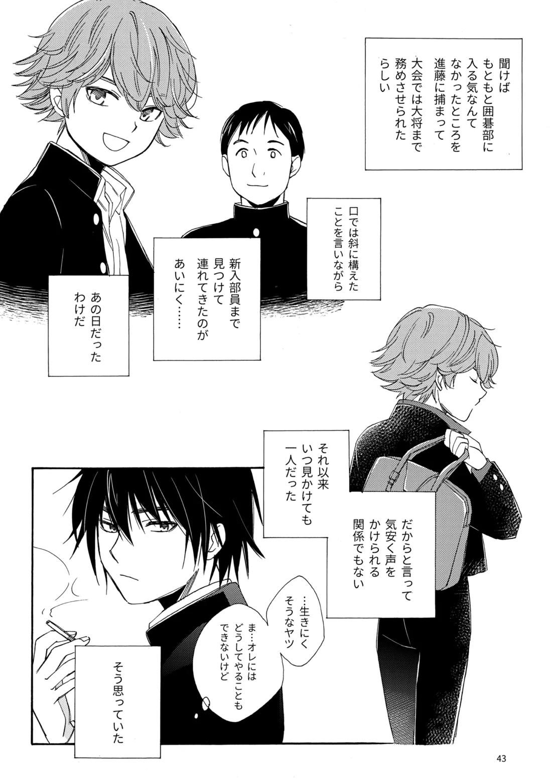 問２と誤算をとかしたら【ヒカルの碁/加賀三谷】 page 43
