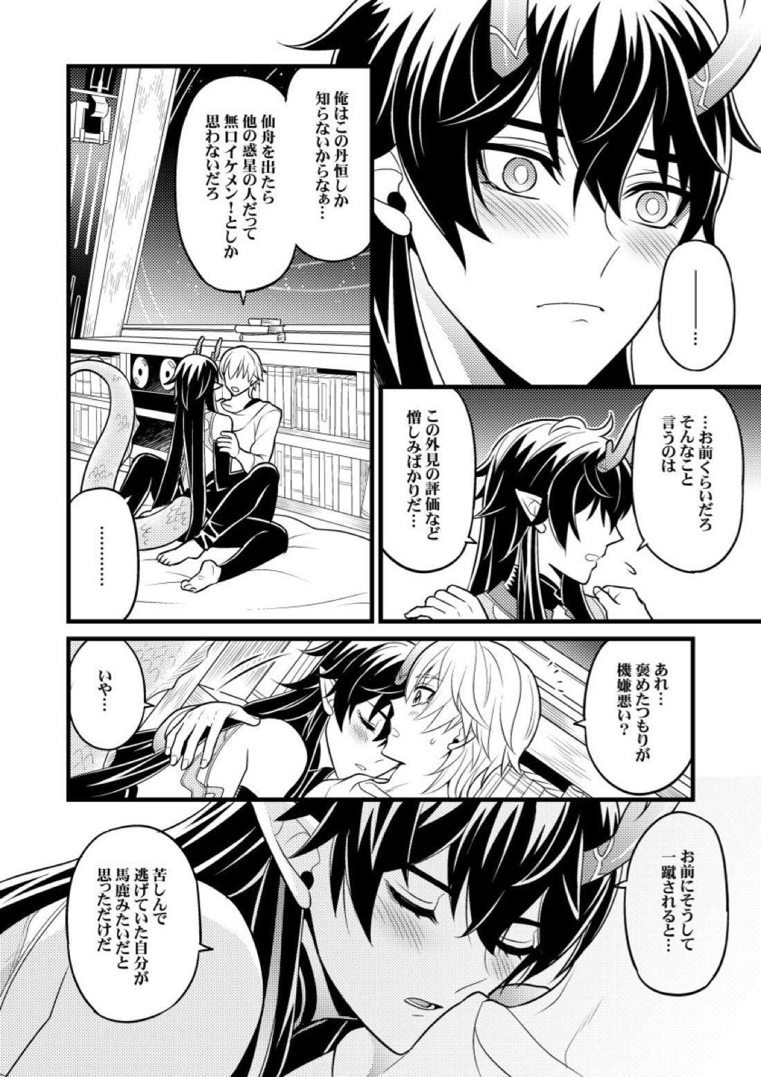 因果に眼差しを【崩壊スターレイル/丹穹】 page 11