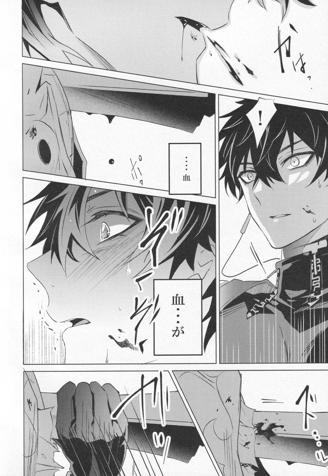 往生の本懐【崩壊スターレイル/刃丹】 page 13
