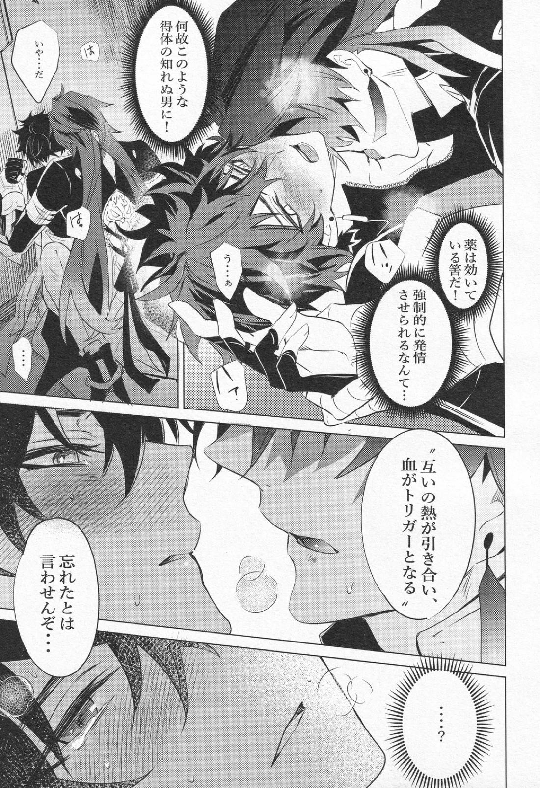 往生の本懐【崩壊スターレイル/刃丹】 page 16