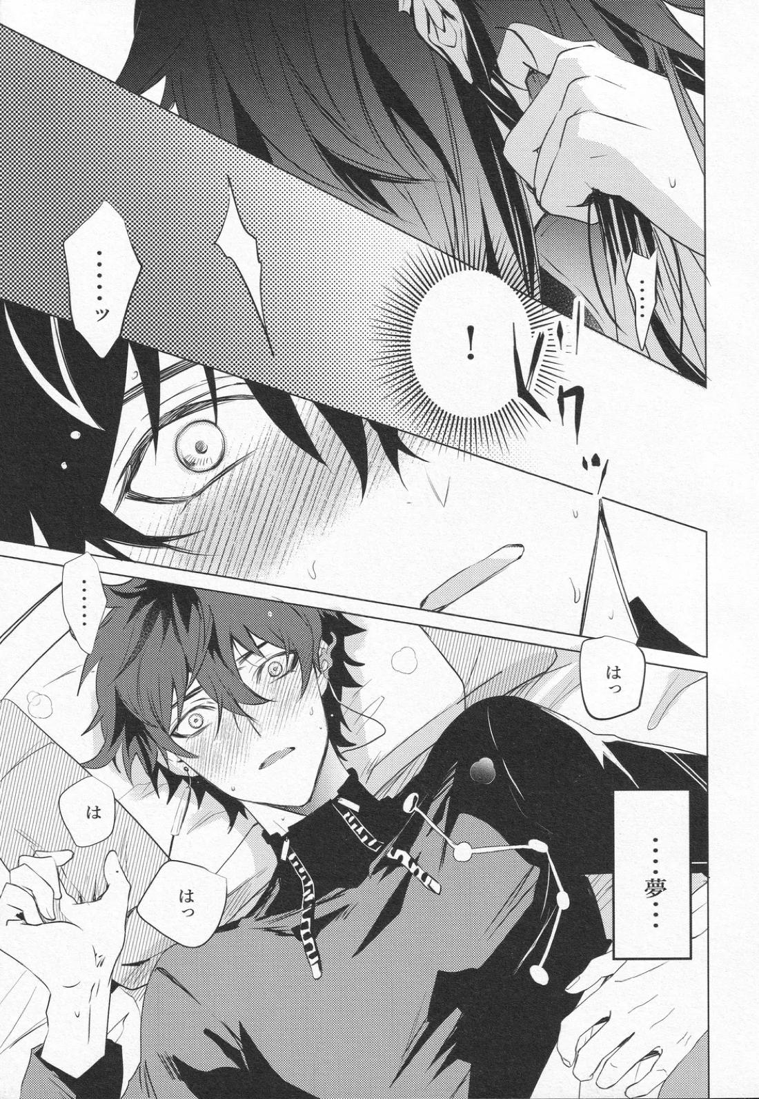 往生の本懐【崩壊スターレイル/刃丹】 page 18