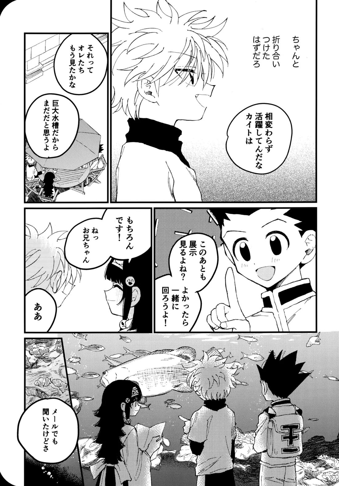 もう一度夜明けの海を見に行こう【HUNTER×HUNTER/ゴンキル】 page 14