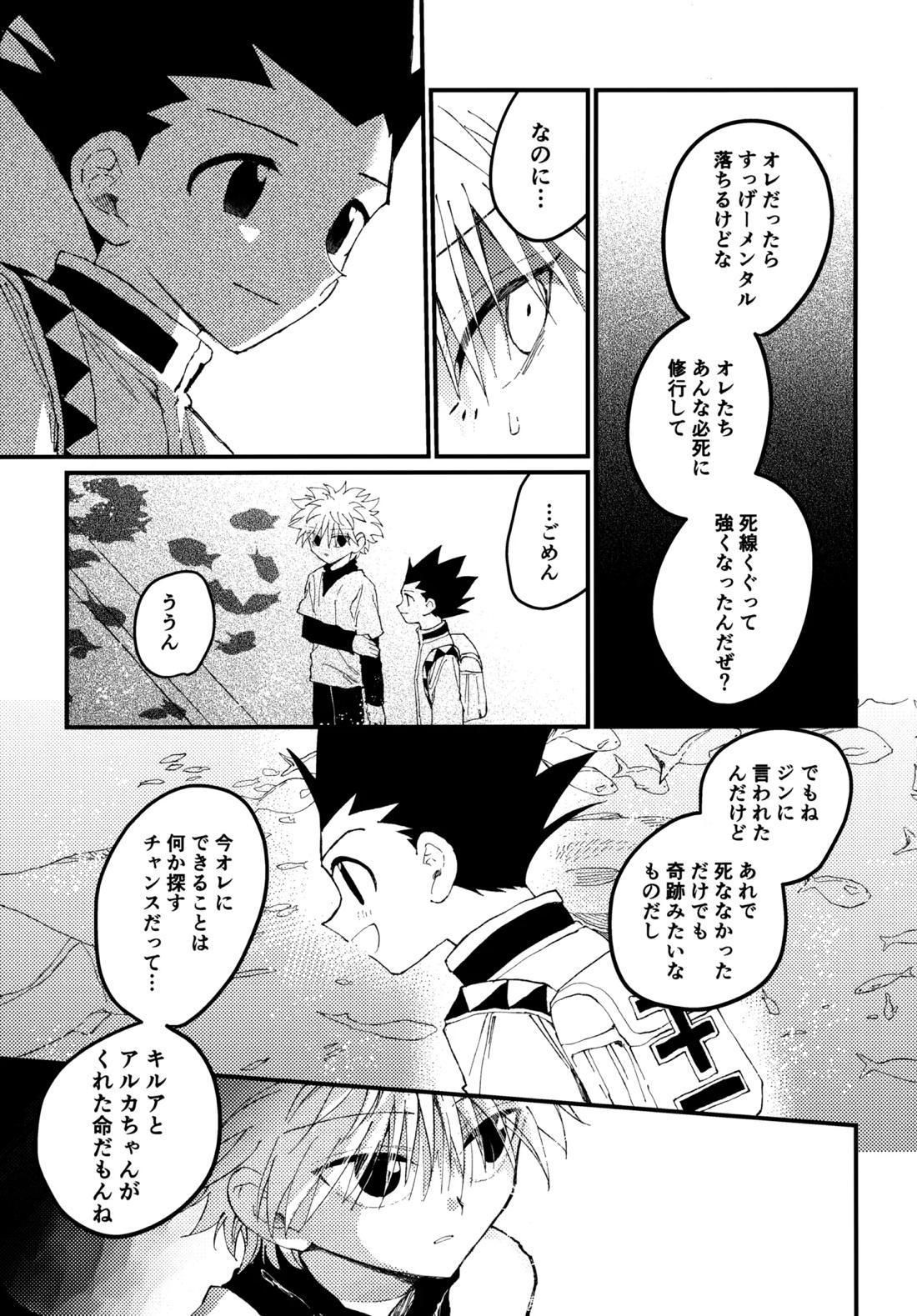 もう一度夜明けの海を見に行こう【HUNTER×HUNTER/ゴンキル】 page 16