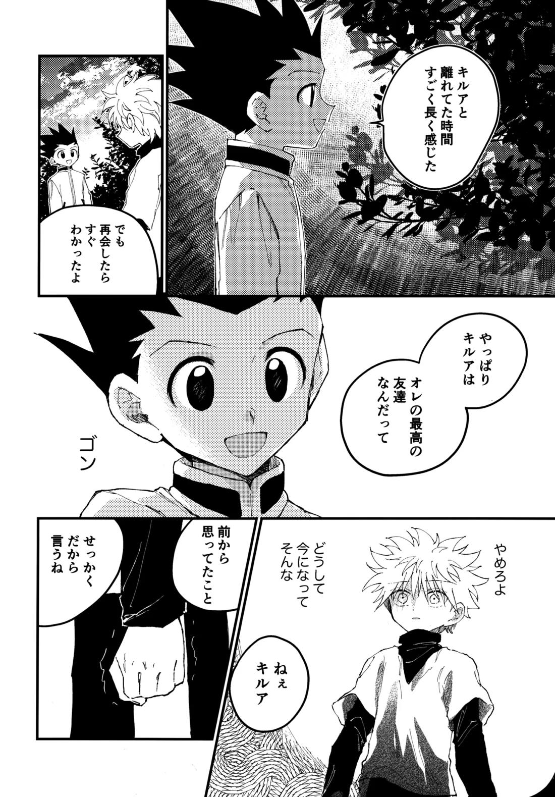 もう一度夜明けの海を見に行こう【HUNTER×HUNTER/ゴンキル】 page 21
