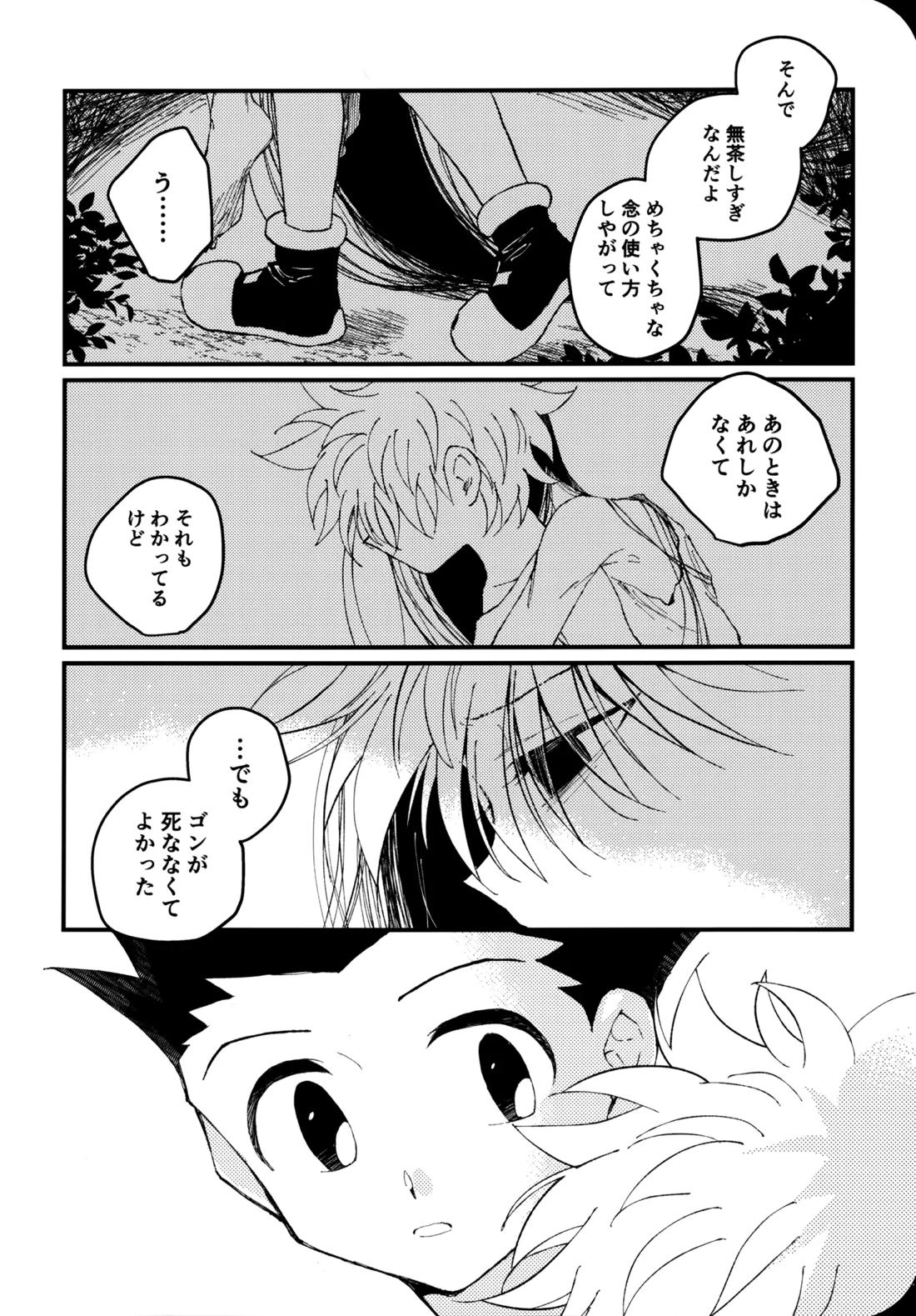 もう一度夜明けの海を見に行こう【HUNTER×HUNTER/ゴンキル】 page 31
