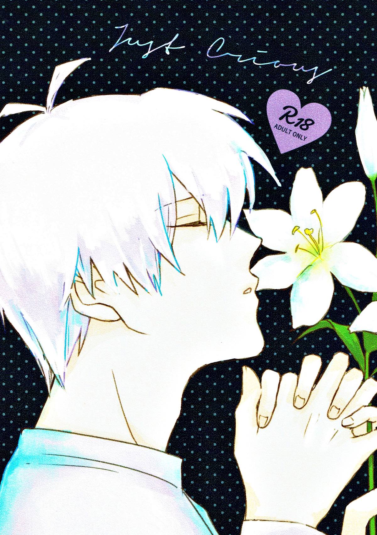 BL manga "Just Curious【アイドリッシュセブン/環壮】" cover image