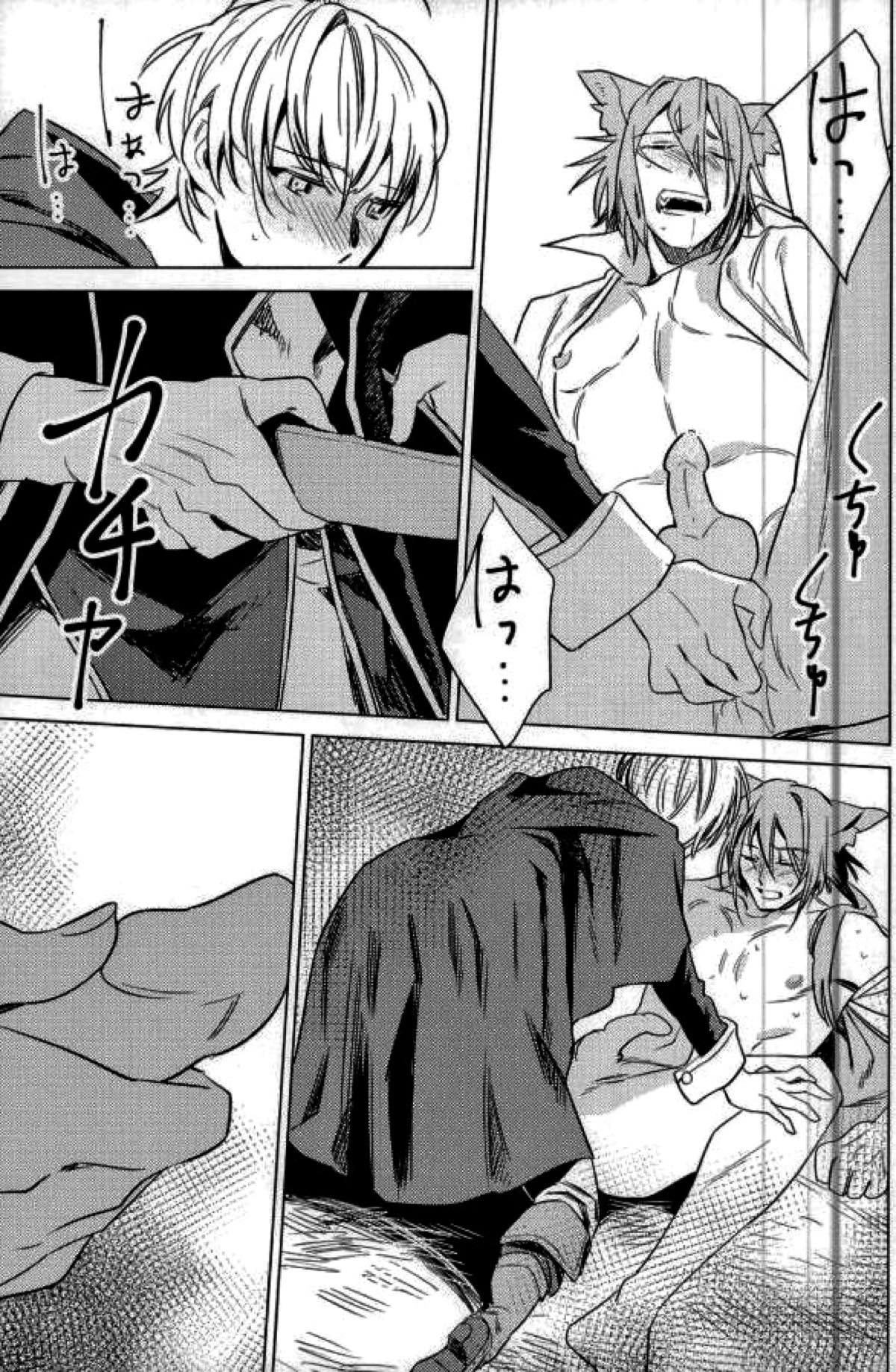 ぼくのおおかみ【アイドリッシュセブン/壮環】 page 12
