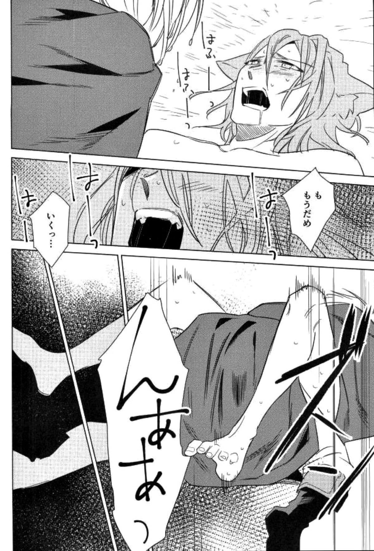 ぼくのおおかみ【アイドリッシュセブン/壮環】 page 15