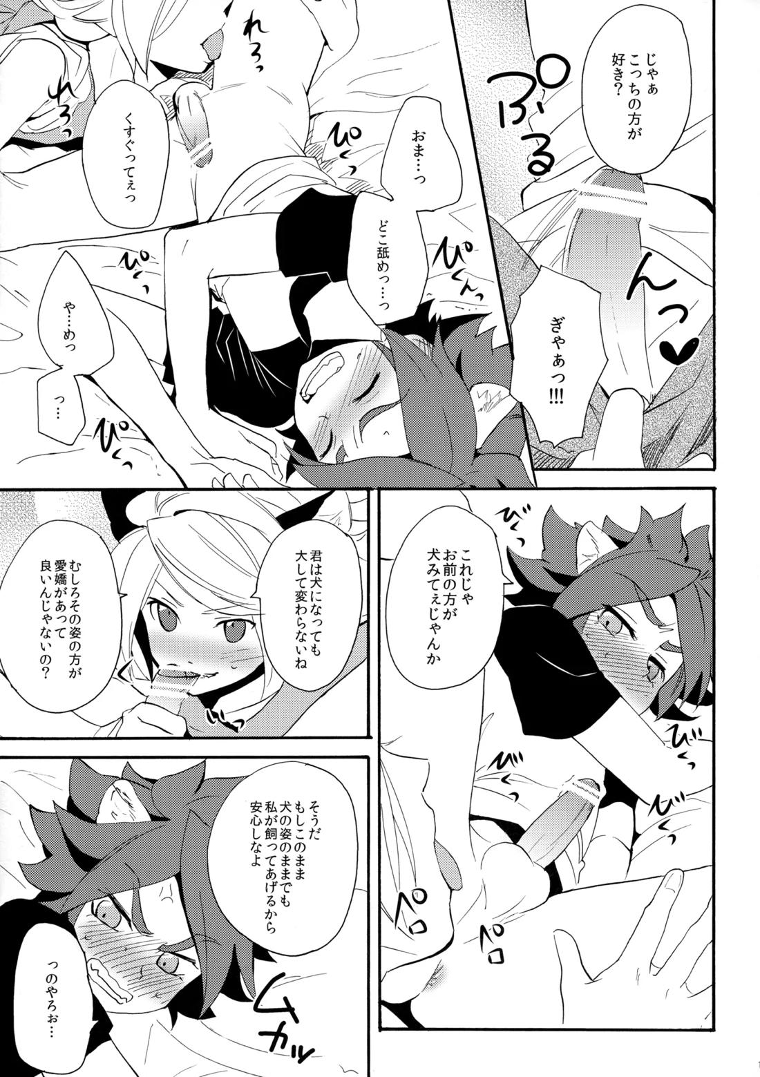 ワンにゃんカオス【イナズマイレブン/ガゼバン(涼南)】 page 12