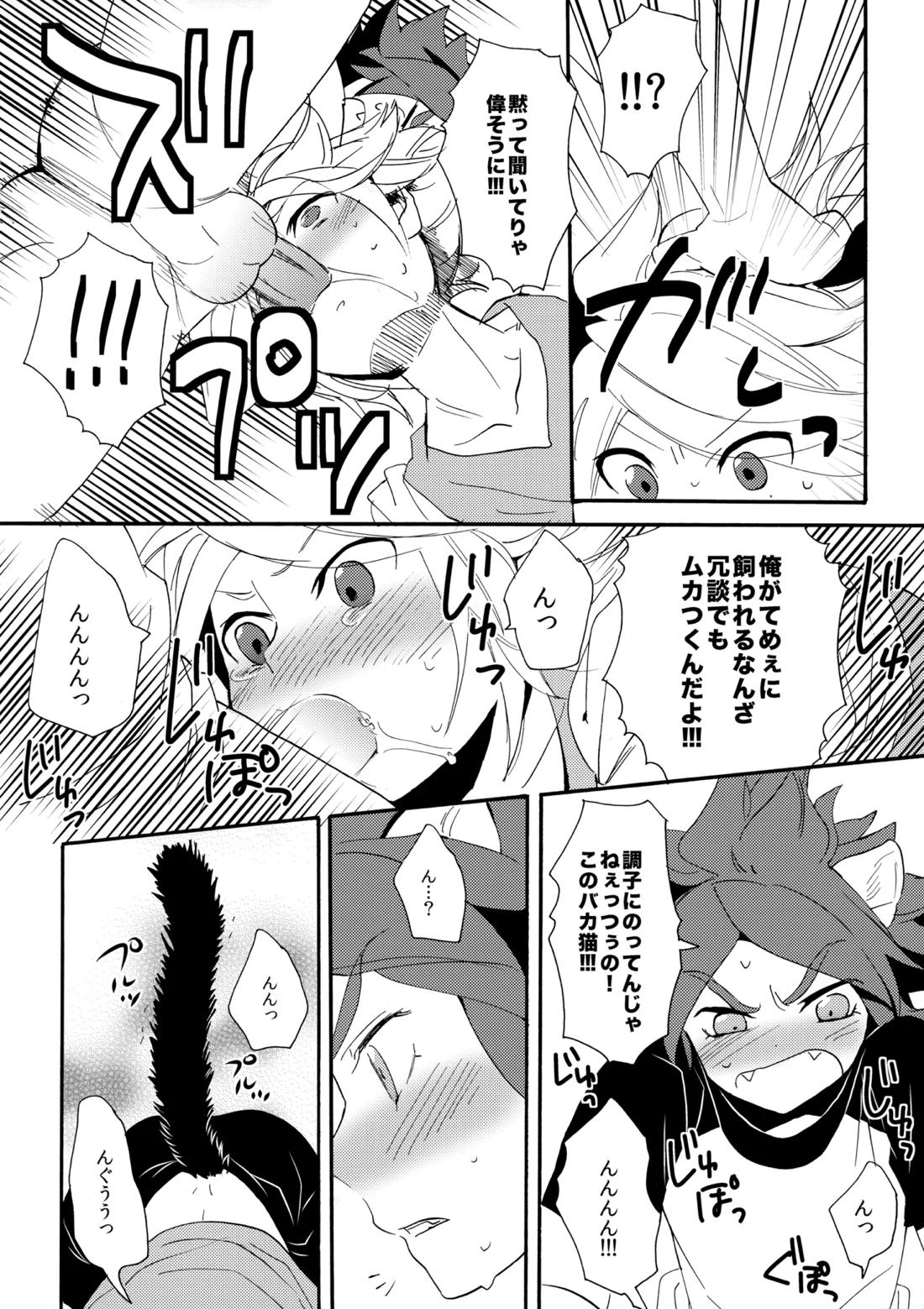 ワンにゃんカオス【イナズマイレブン/ガゼバン(涼南)】 page 13