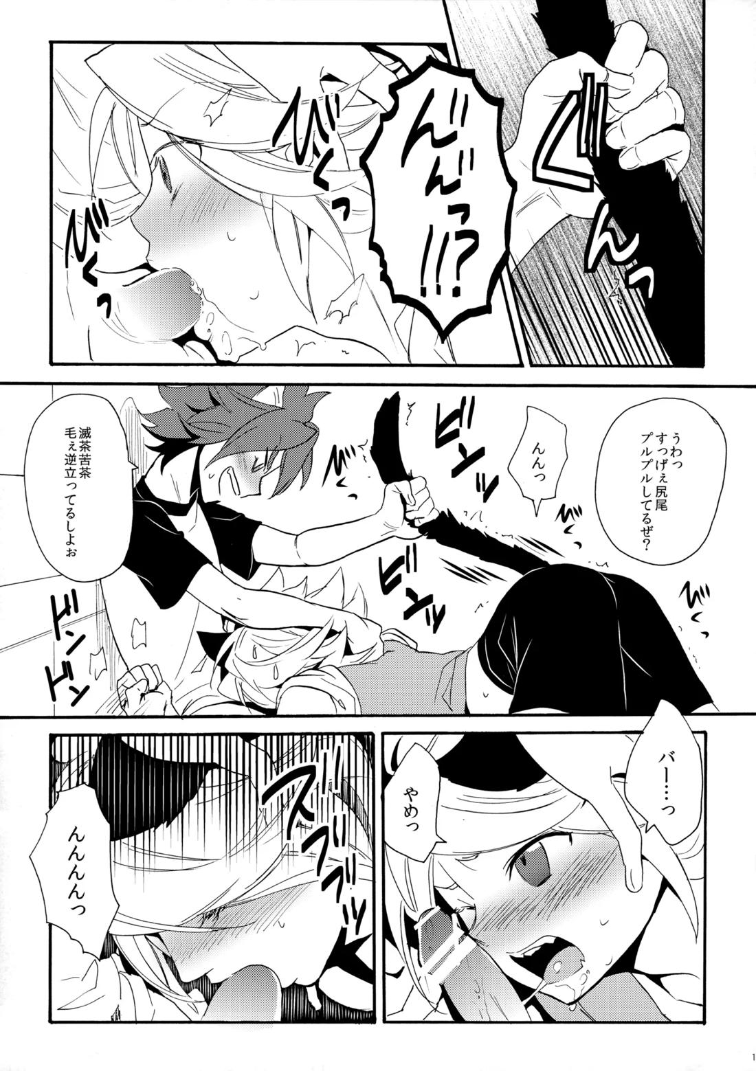 ワンにゃんカオス【イナズマイレブン/ガゼバン(涼南)】 page 14