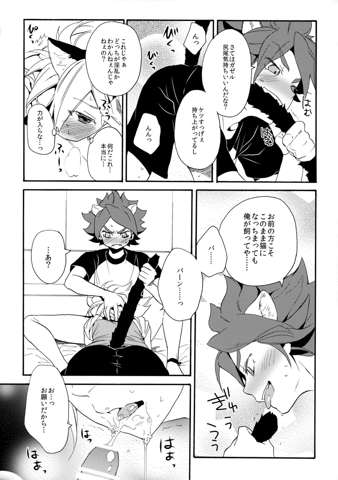 ワンにゃんカオス【イナズマイレブン/ガゼバン(涼南)】 page 15