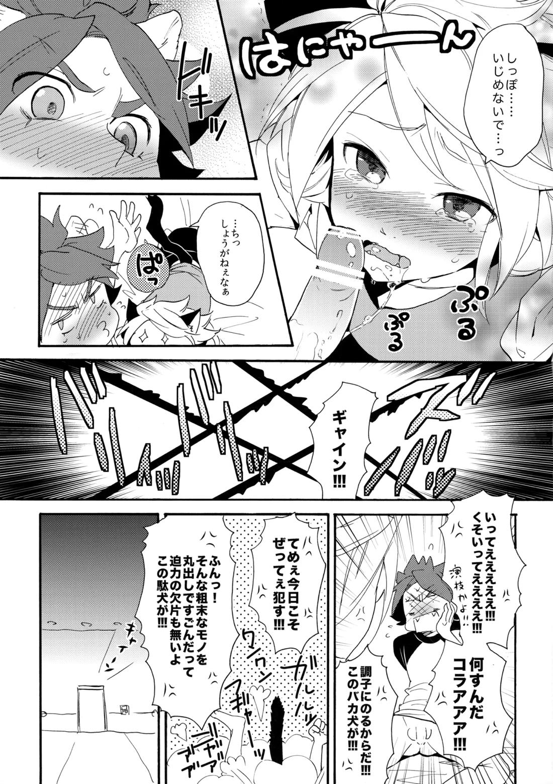 ワンにゃんカオス【イナズマイレブン/ガゼバン(涼南)】 page 16