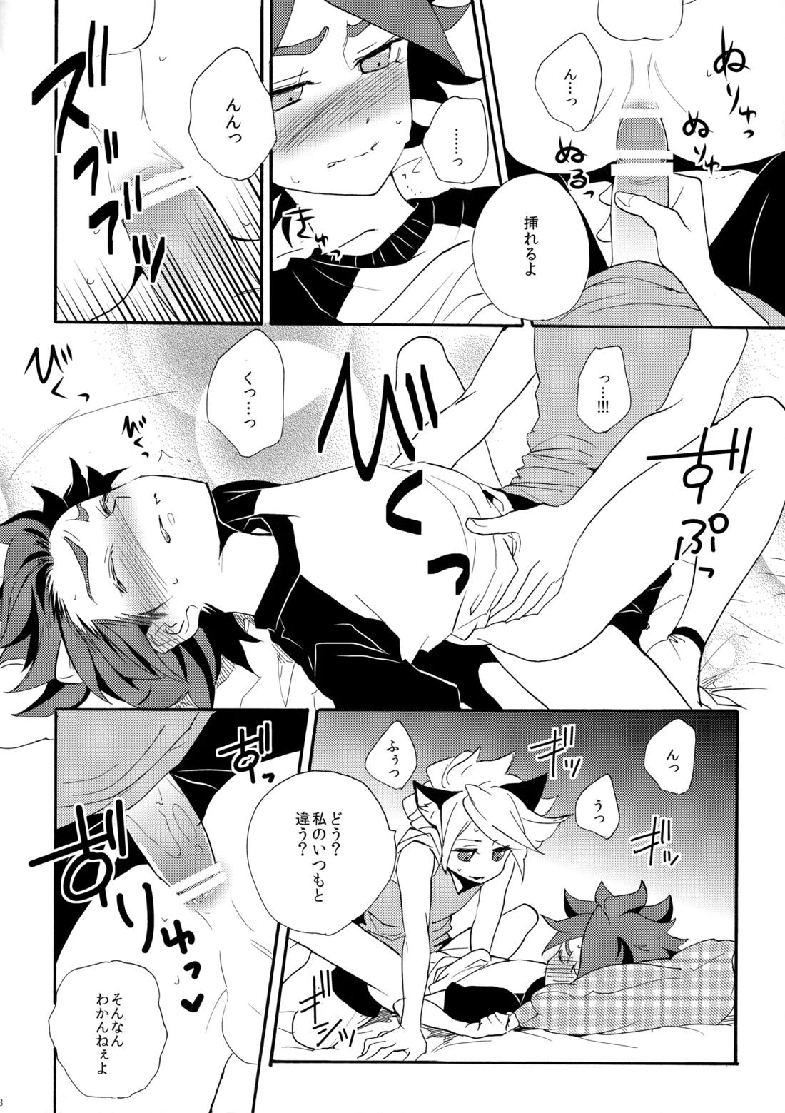 ワンにゃんカオス【イナズマイレブン/ガゼバン(涼南)】 page 19