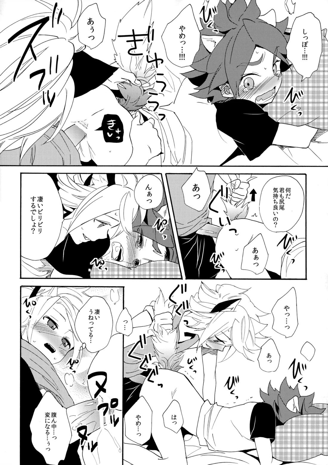 ワンにゃんカオス【イナズマイレブン/ガゼバン(涼南)】 page 21