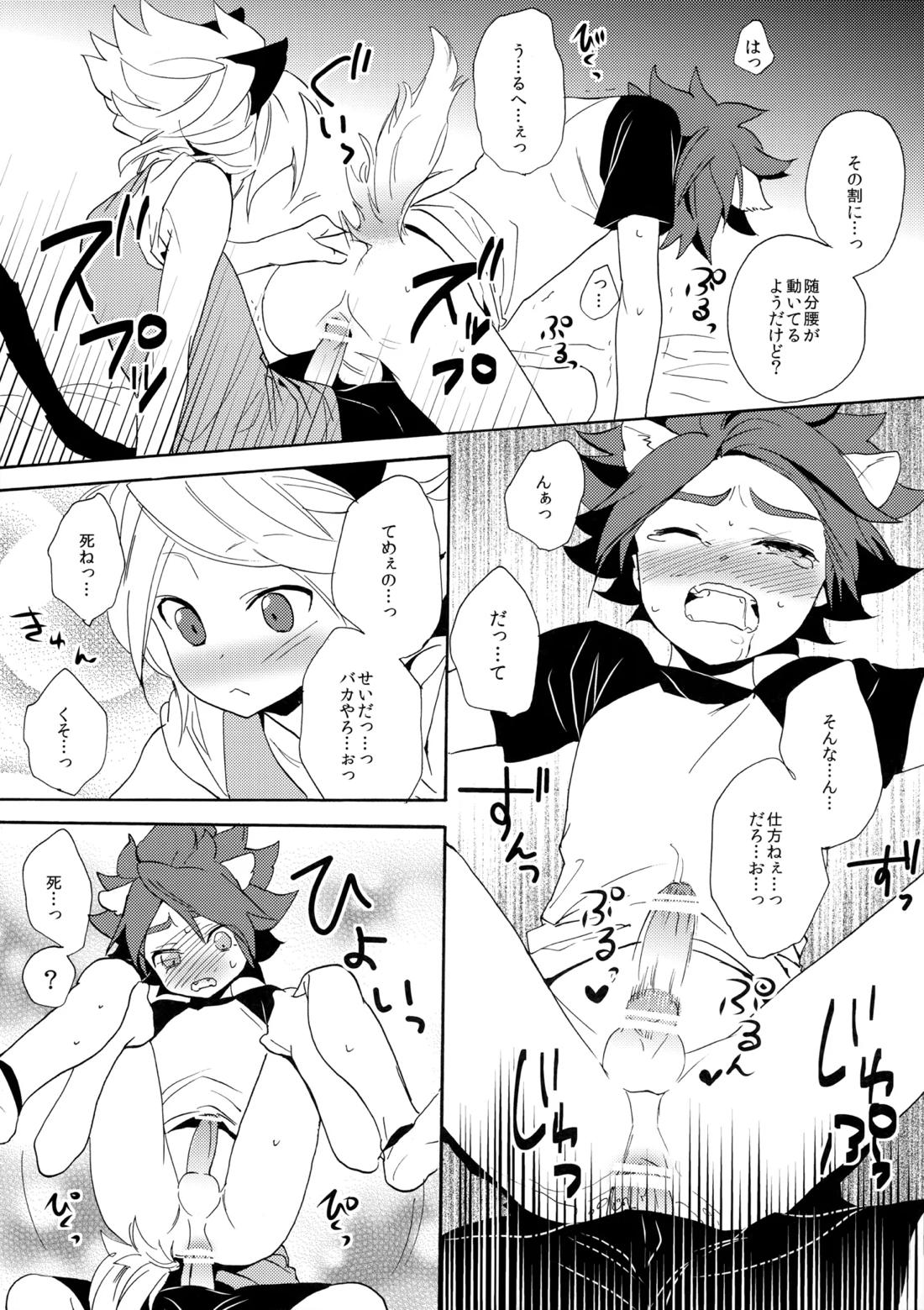 ワンにゃんカオス【イナズマイレブン/ガゼバン(涼南)】 page 23