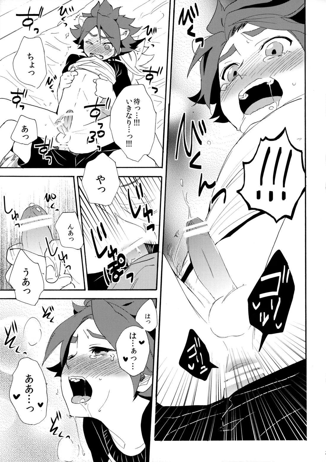 ワンにゃんカオス【イナズマイレブン/ガゼバン(涼南)】 page 24