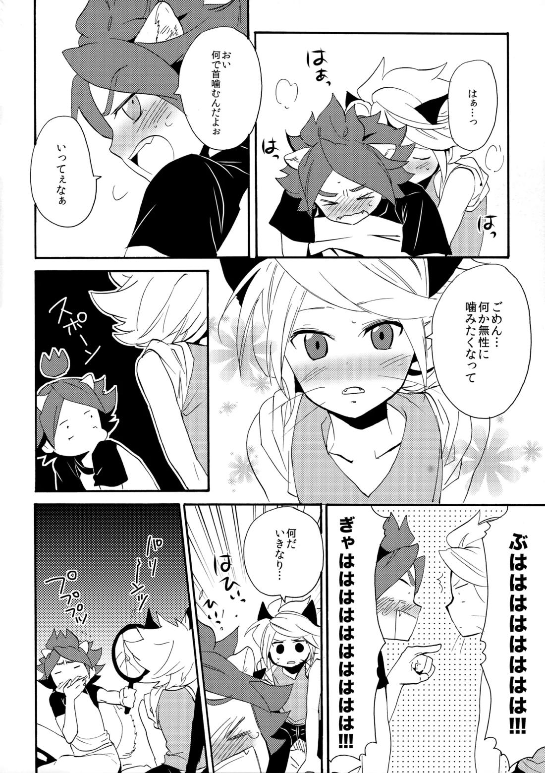ワンにゃんカオス【イナズマイレブン/ガゼバン(涼南)】 page 29