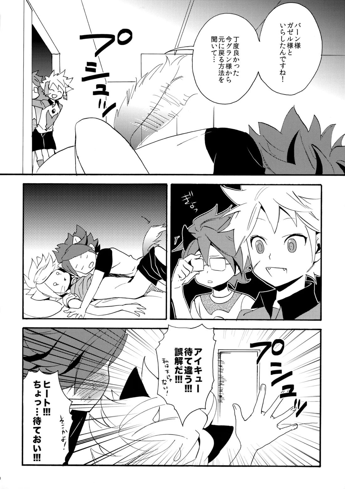 ワンにゃんカオス【イナズマイレブン/ガゼバン(涼南)】 page 31