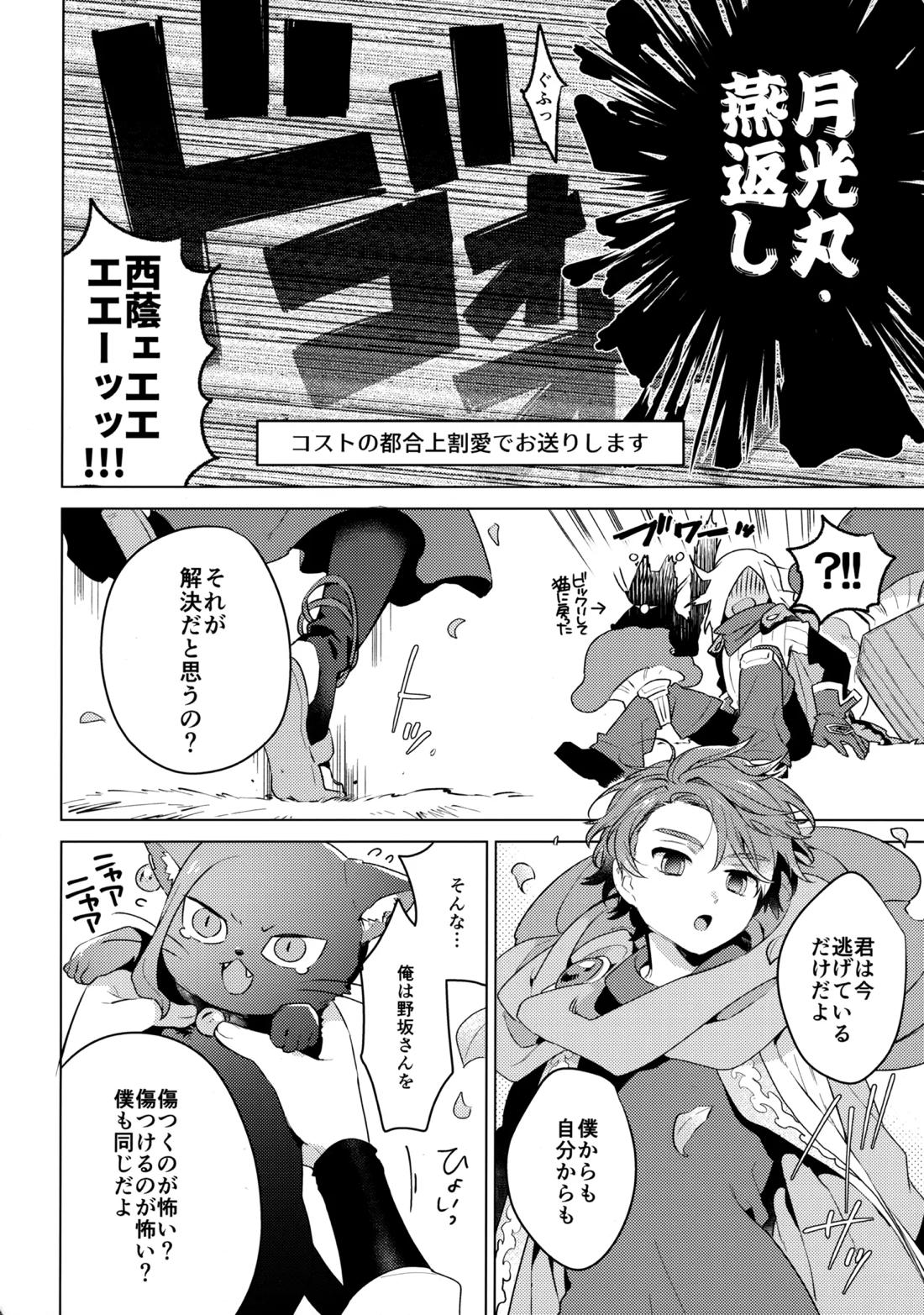 ウチの猫が発情期【イナズマイレブン/西野】 page 29