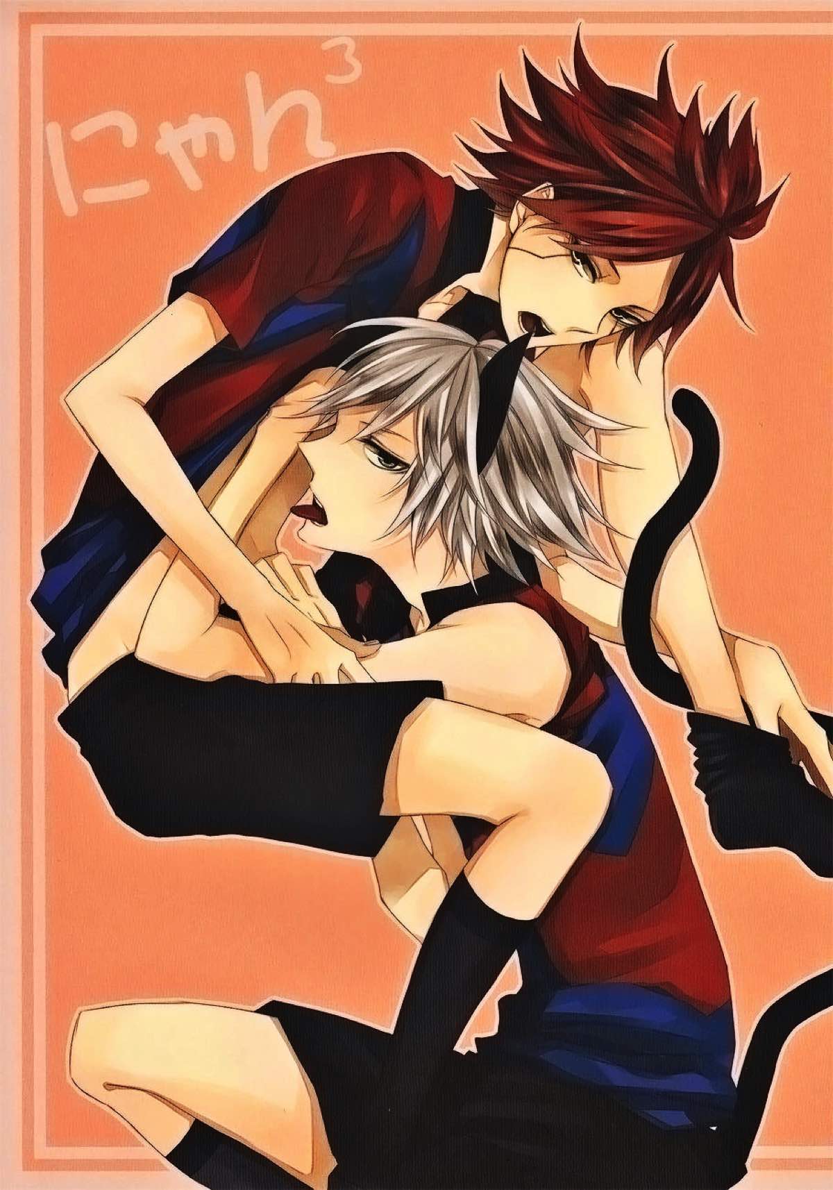 BL manga "にゃん×3【イナズマイレブン/ガゼバン(涼南)】" cover image