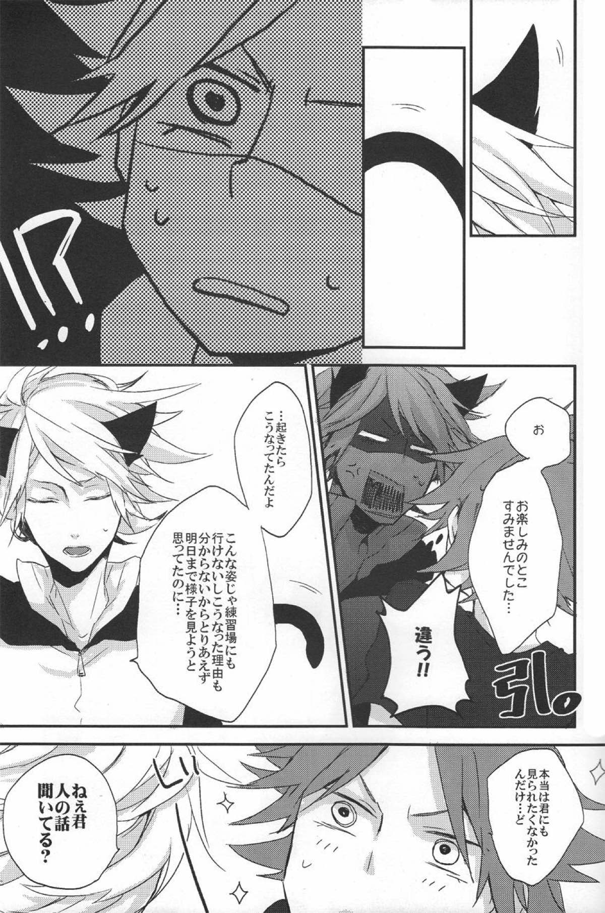 にゃん×3【イナズマイレブン/ガゼバン(涼南)】 page 12