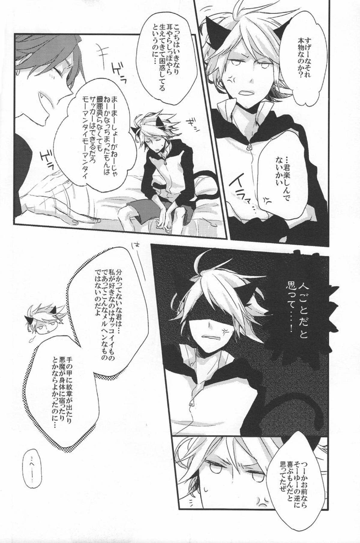 にゃん×3【イナズマイレブン/ガゼバン(涼南)】 page 13